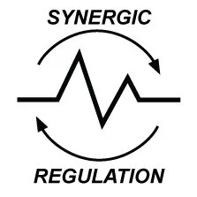 PR-205MV Synergic mode