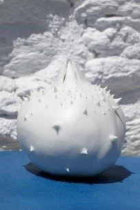 Sea Urchin Pomegranate