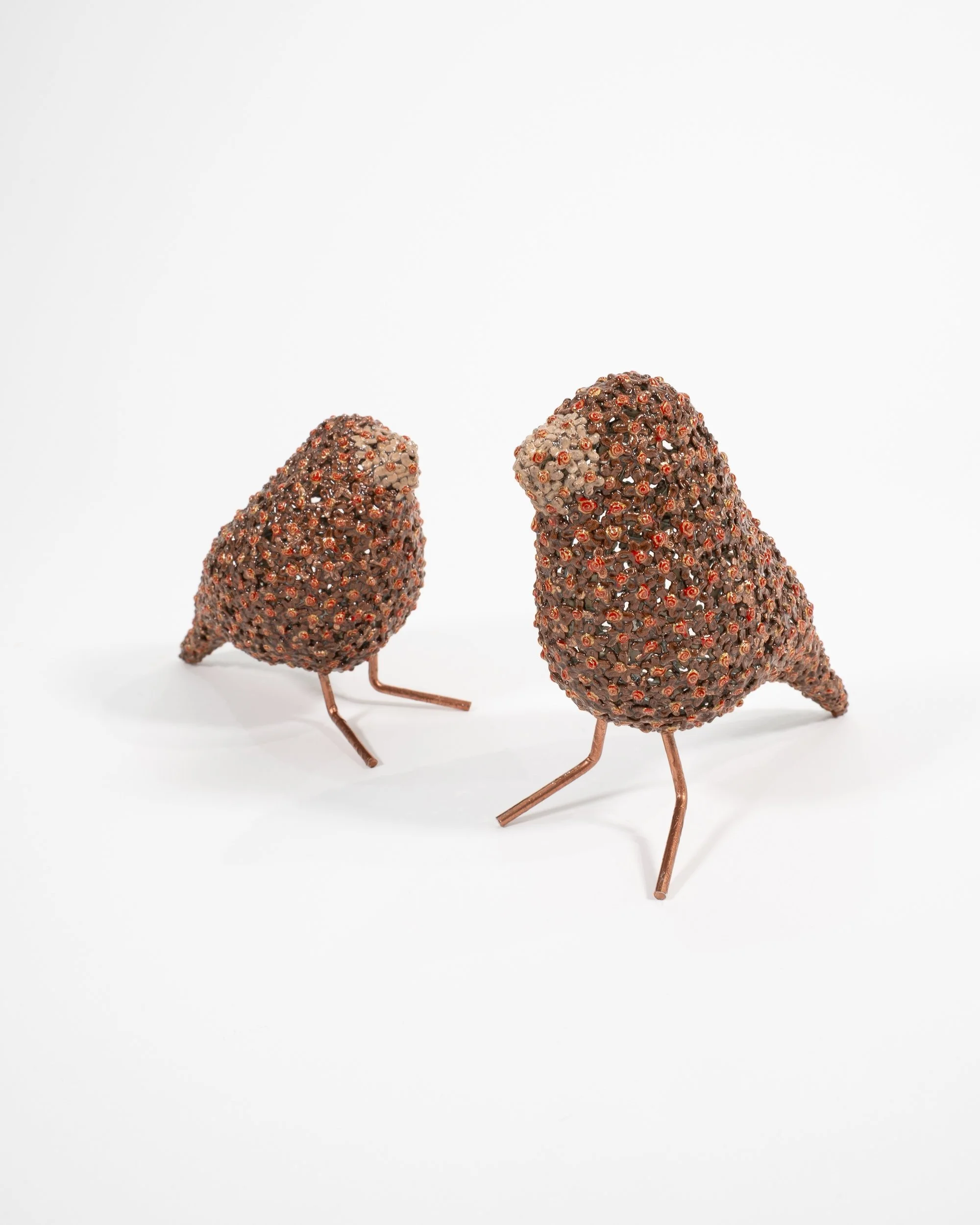 Everyday Existence (Birds Duo).jpg