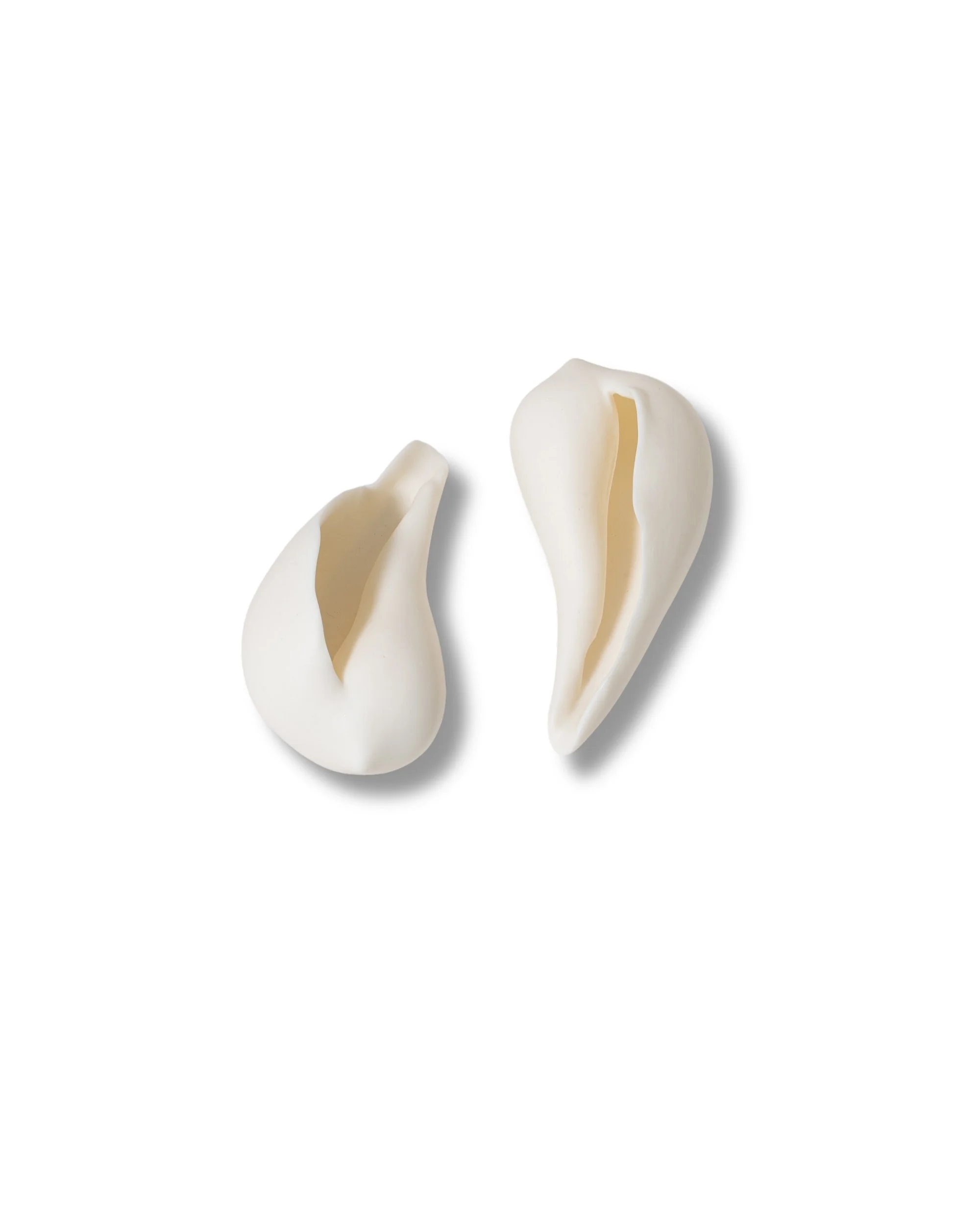 Kohilia Shells.jpg