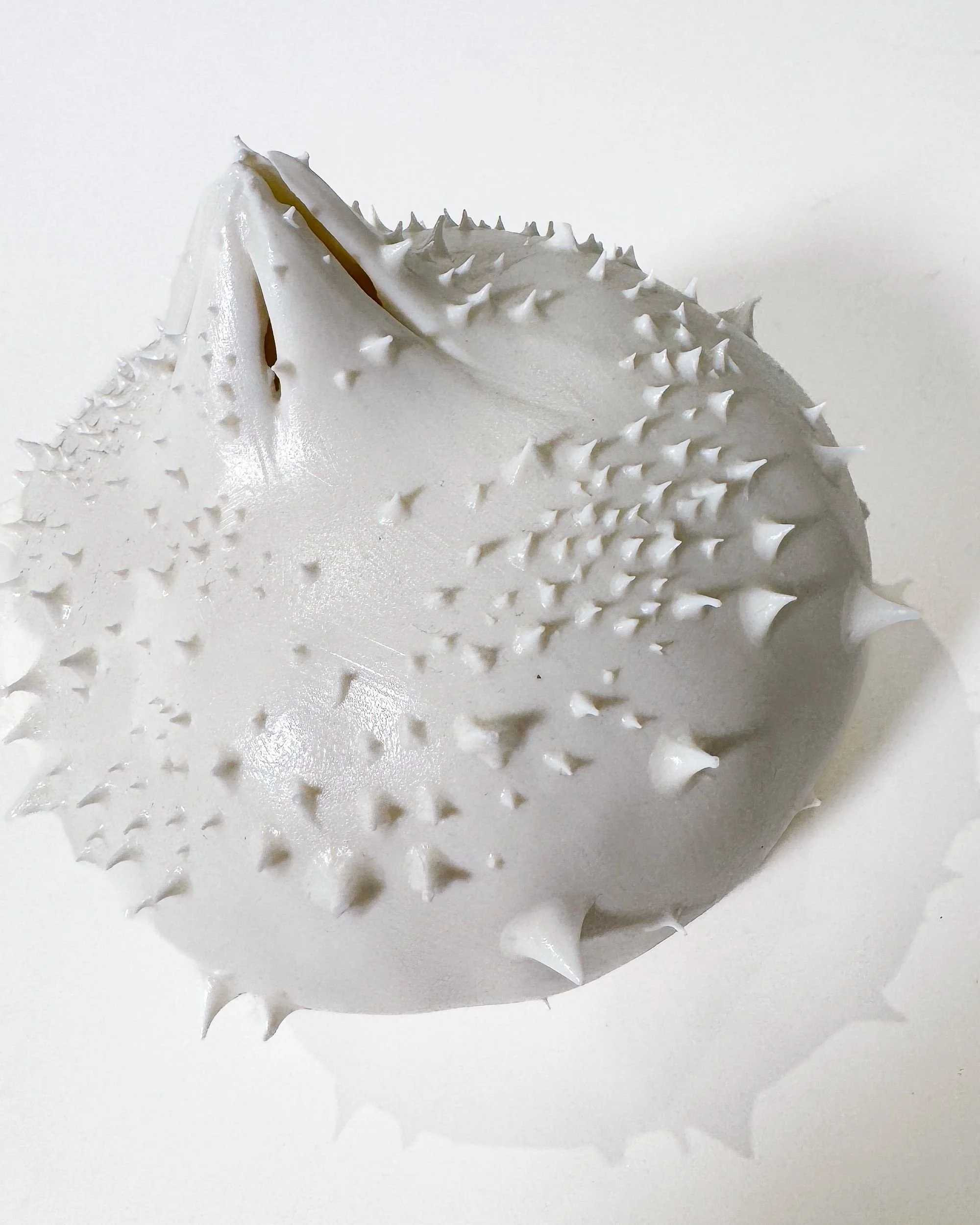 Sea Urchin Pomegranate_Mykonos_Home_Decor.jpg