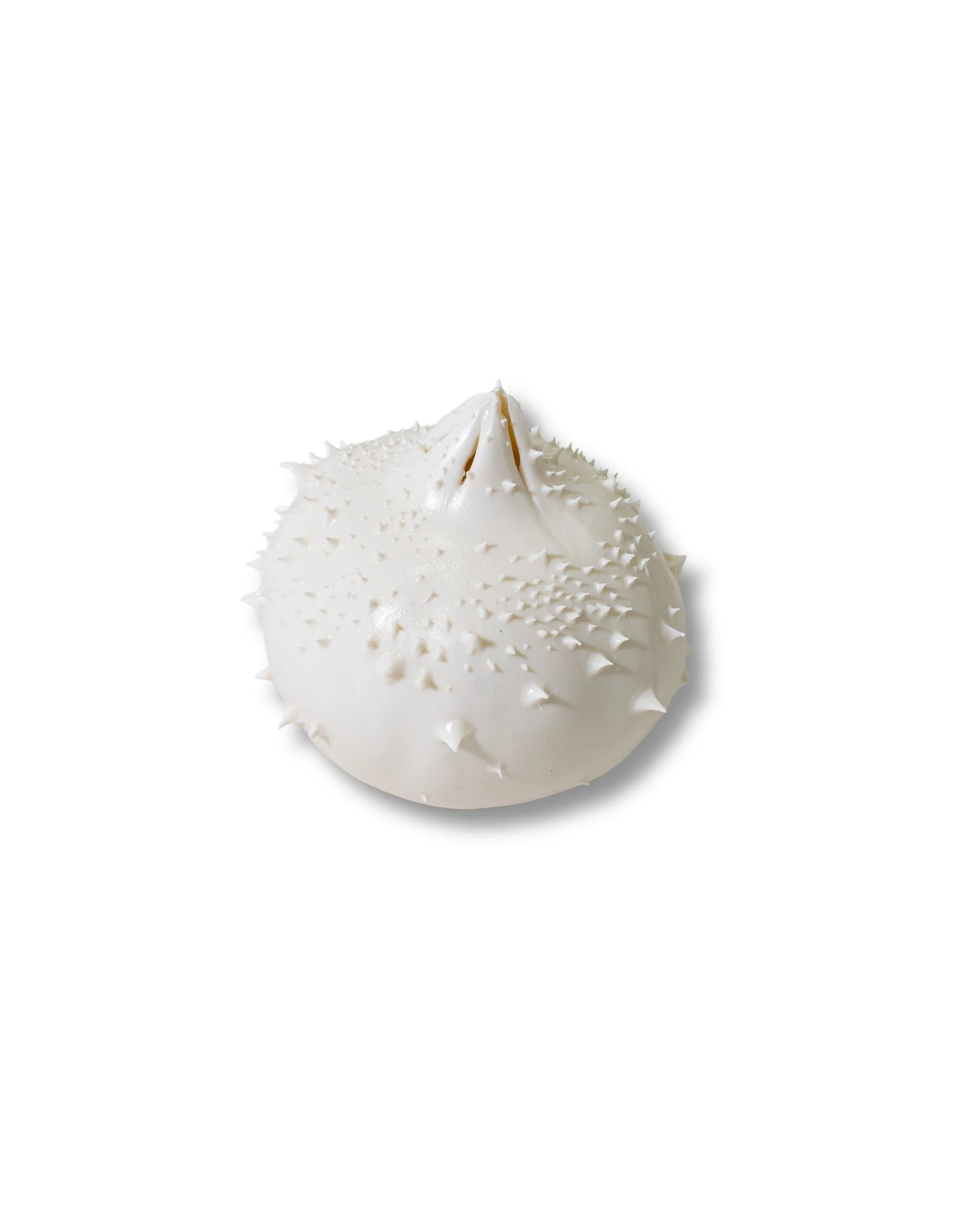 Sea Urchin Pomegranate.jpg
