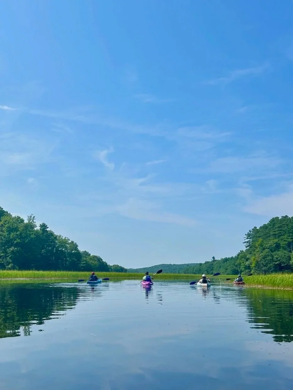 Four kayakers viewed from behind on a pond on a sunny day