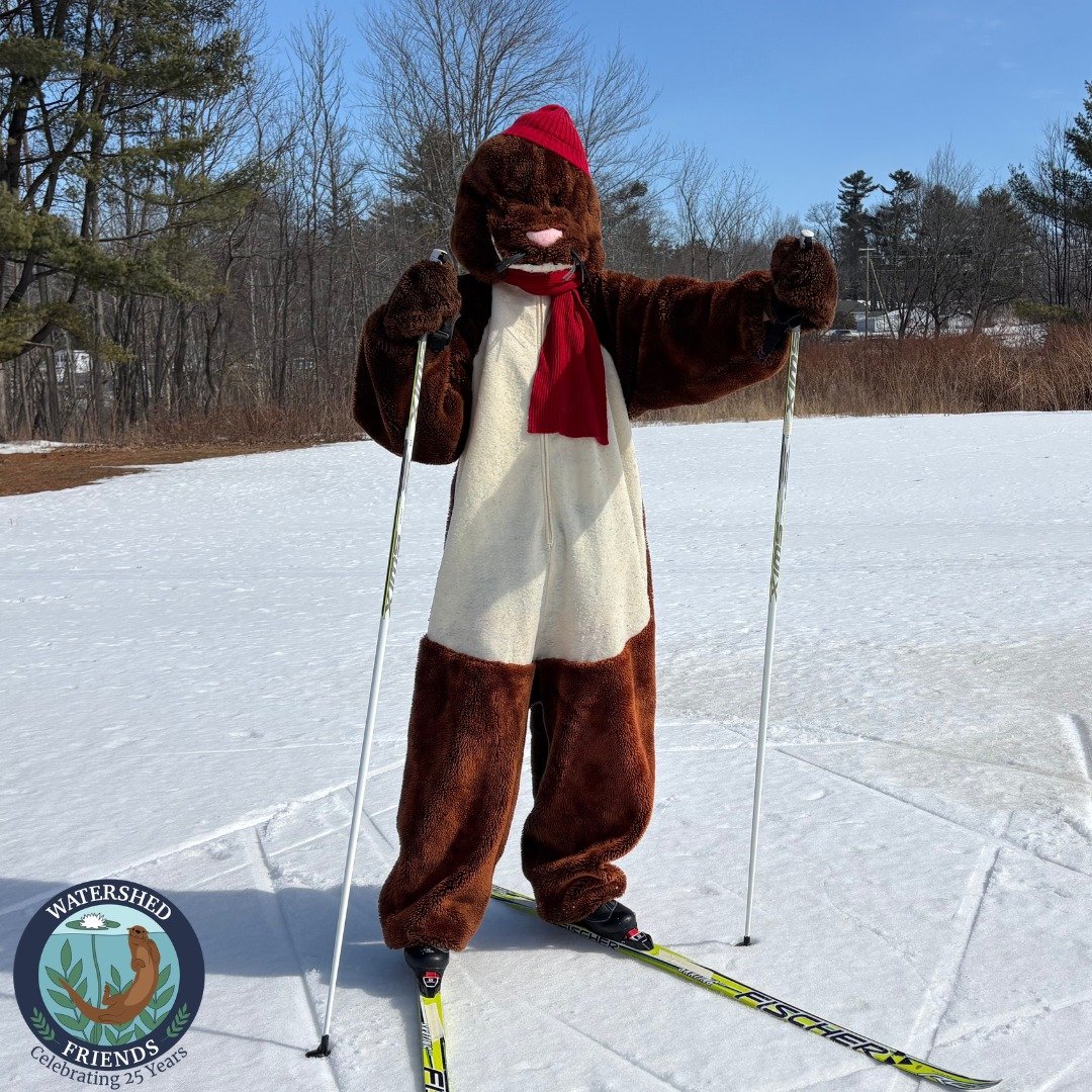 With winter coming to a close, Spotter is reflecting on all the new things he tried. Did you get out and try something new this winter? Let us know in the comments below!