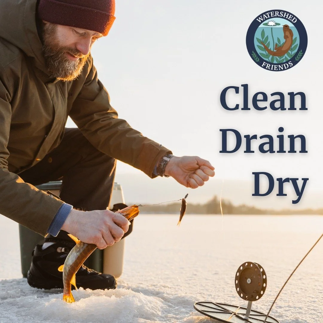Did you know that some aquatic invasive species can survive under the ice? Please remember to always clean, drain, and dry your ice fishing equipment!

And remember, stay safe and always check the ice depth!

#Mainelakes #Mainewinter #icefishing #Cle