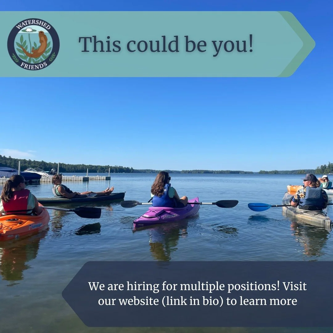 Interested in joining the Watershed Friends this year? Our hiring season has officially begun and we have several open positions!

Please visit the link in our bio to learn more and apply!

We look forward to hearing from you!