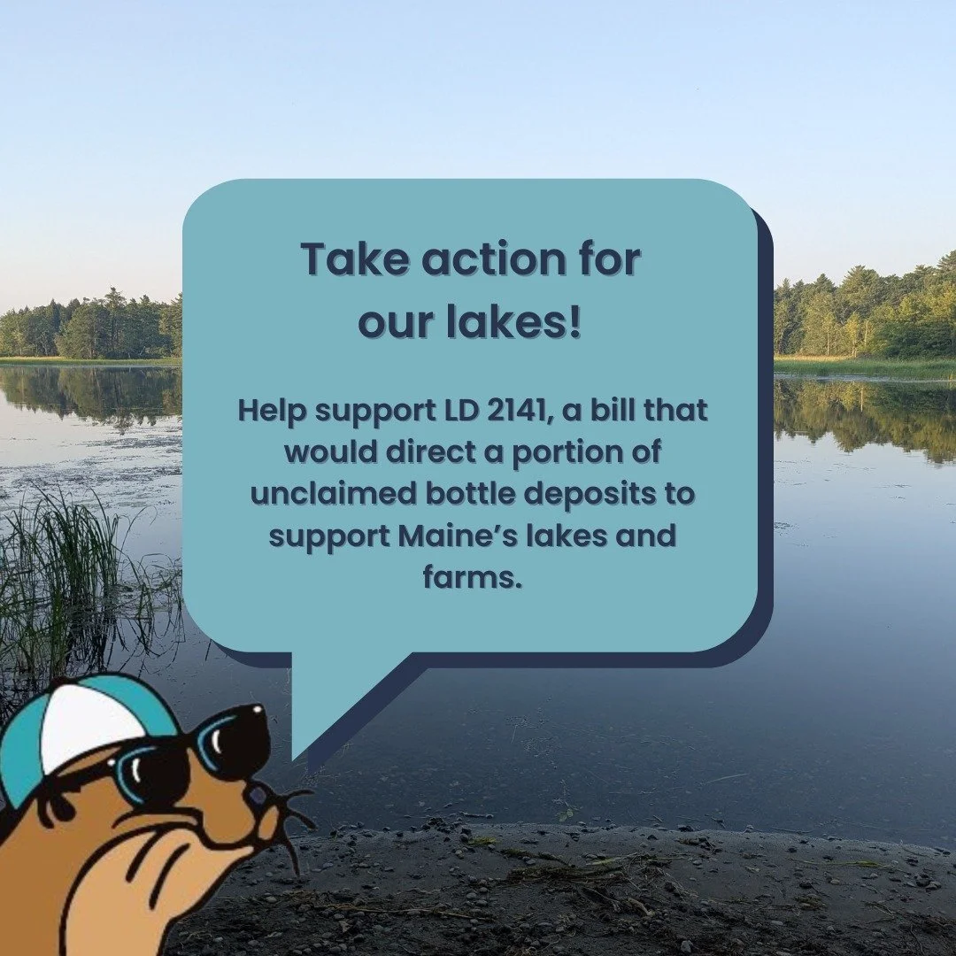We need your help! 

Help support LD 2141, which aims to provide $2 million per year to the Lake Water Quality Protection and Restoration Fund at the Maine DEP, supporting crucial water-quality work.

Immediate actions needed before tomorrow, Februar