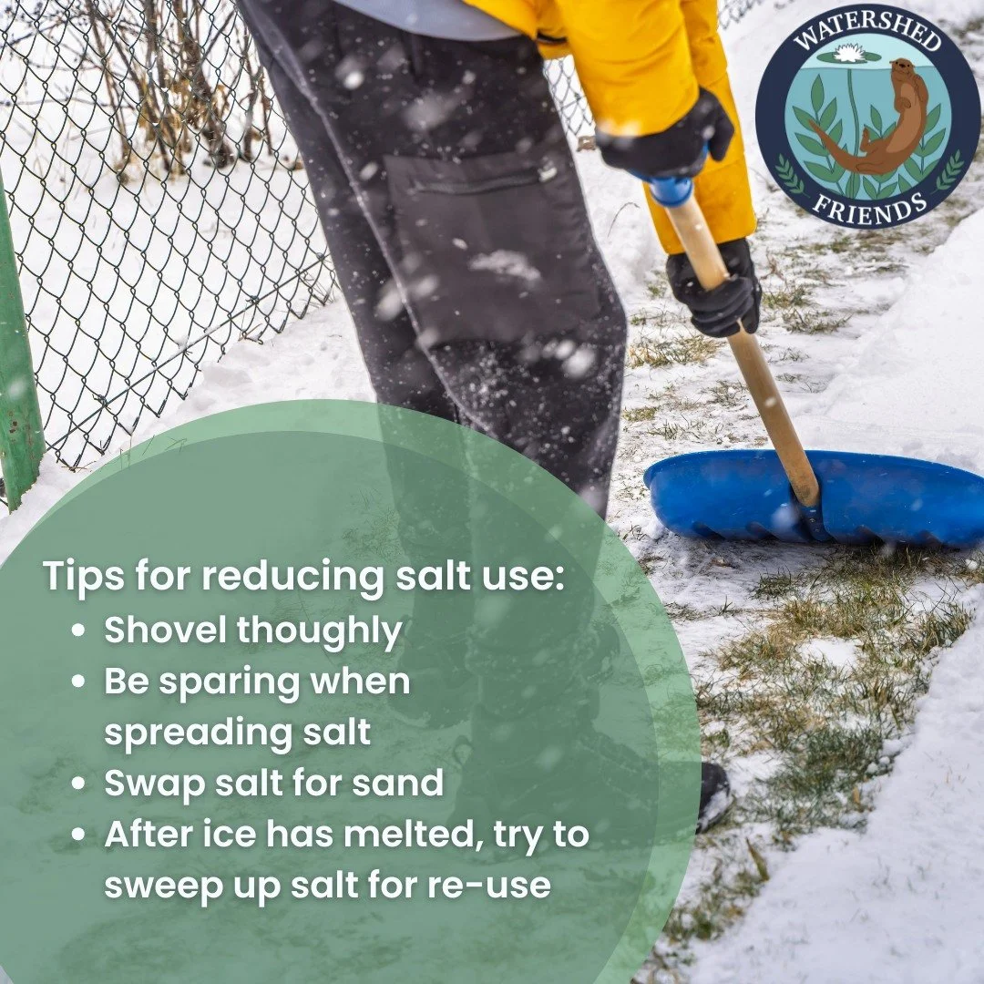 Happy Winter Salt Week! We hope you've had a chance to learn more about the impacts of winter salts and how you can do to reduce using them. If you  want to learn more, @lakestewardsofmaine  has an upcoming webinar, "Salts in Our Watershed,&quot
