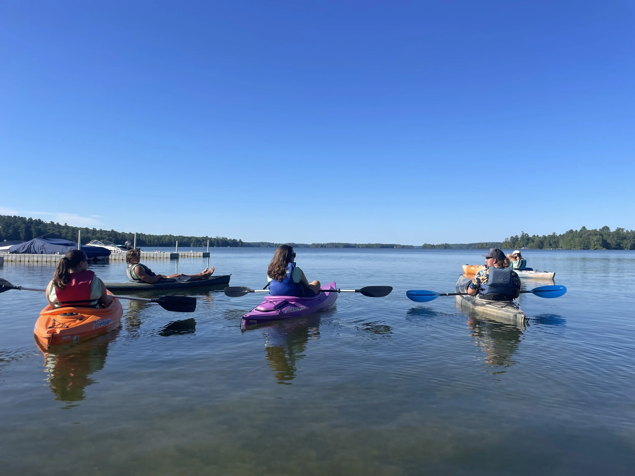 A group of five kayakers facing away from the camera