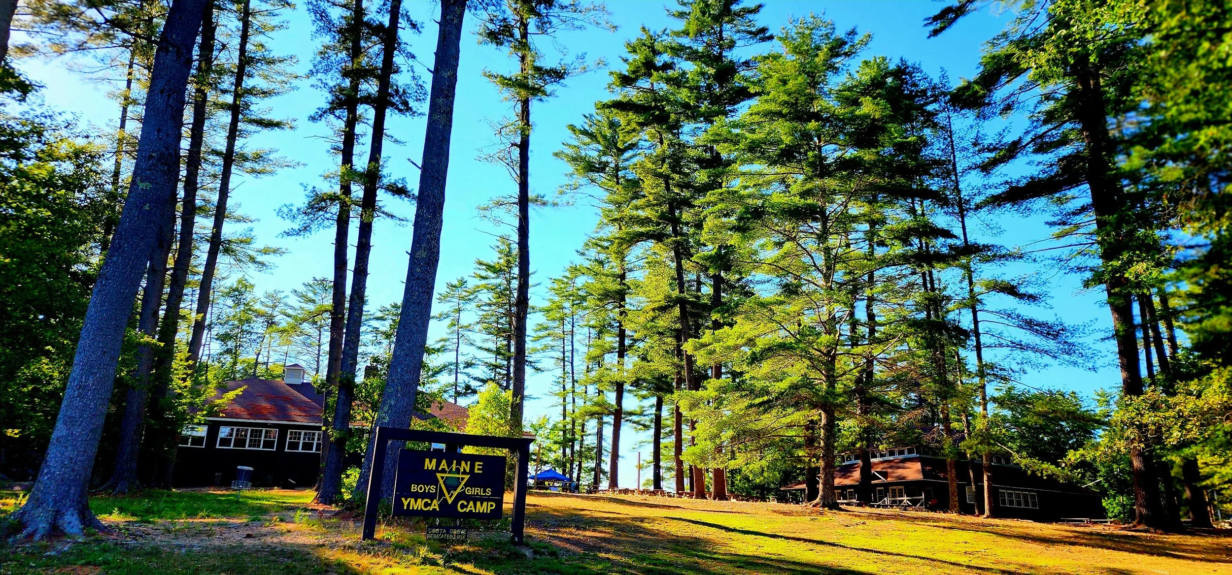 A wide shot of tall pines with a wooden sign saying, "Maine YMCA Camp" and buildings in the background