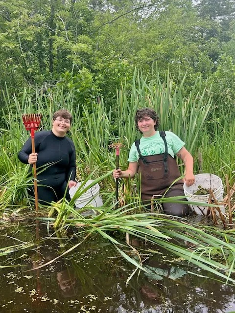 Two people standing in a reedy wetland smiling the camera holding rakes and buckets, the one on the left wearing a wetsuit, the one on the right wearing a green t-shirt and waders