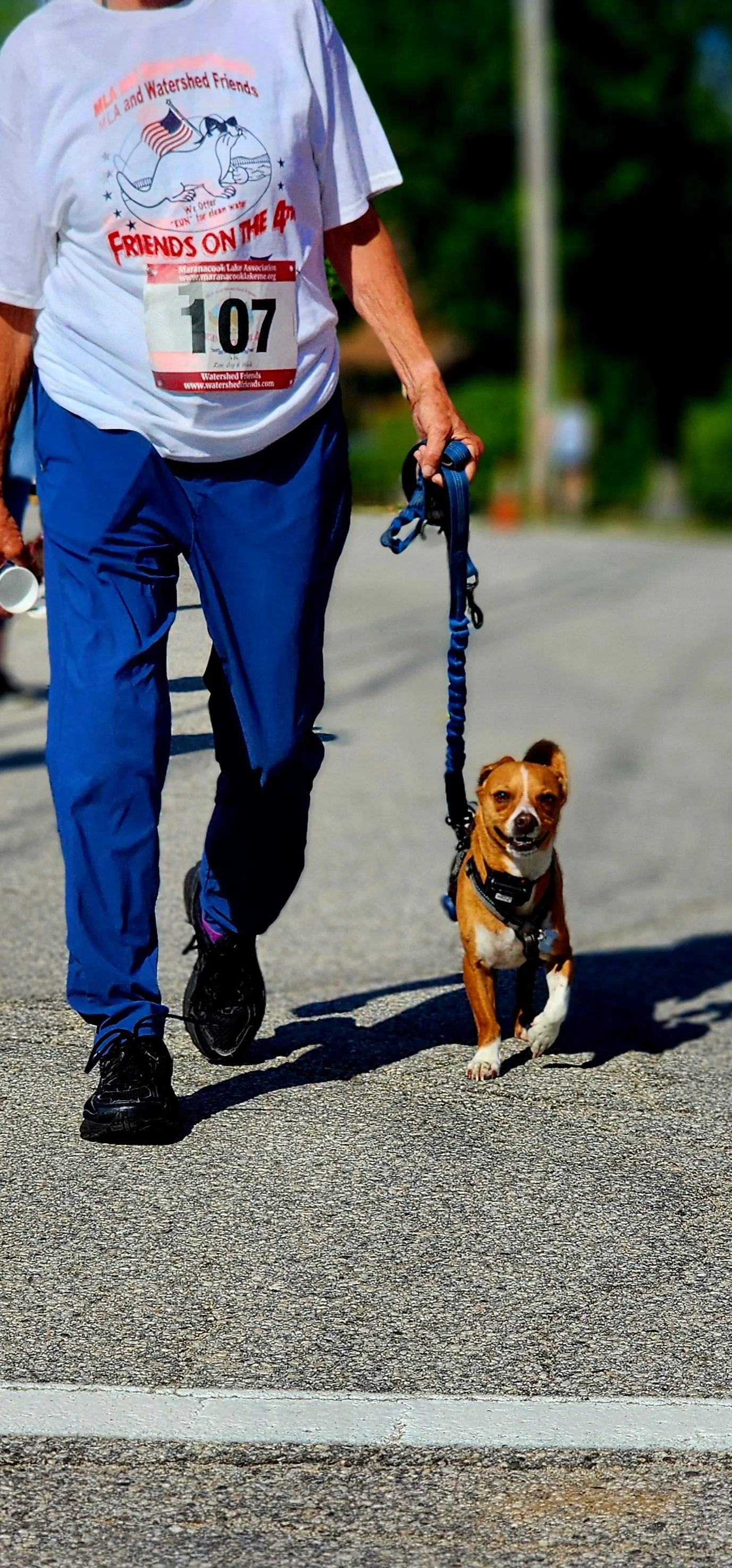 A person wearing a white t-shirt and blue pants walking with a small brown and white dog