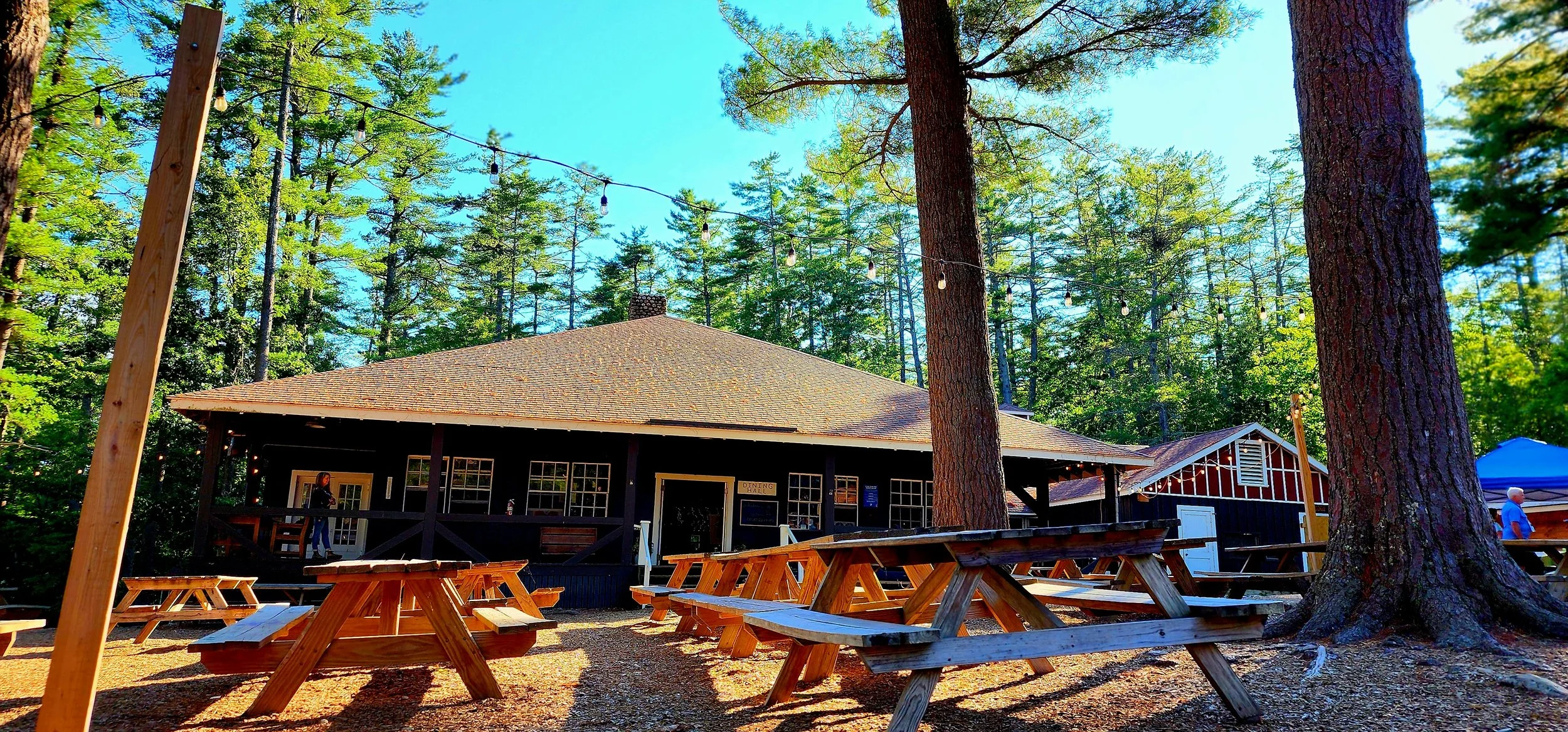 A line up of picnic tables with a building in the background