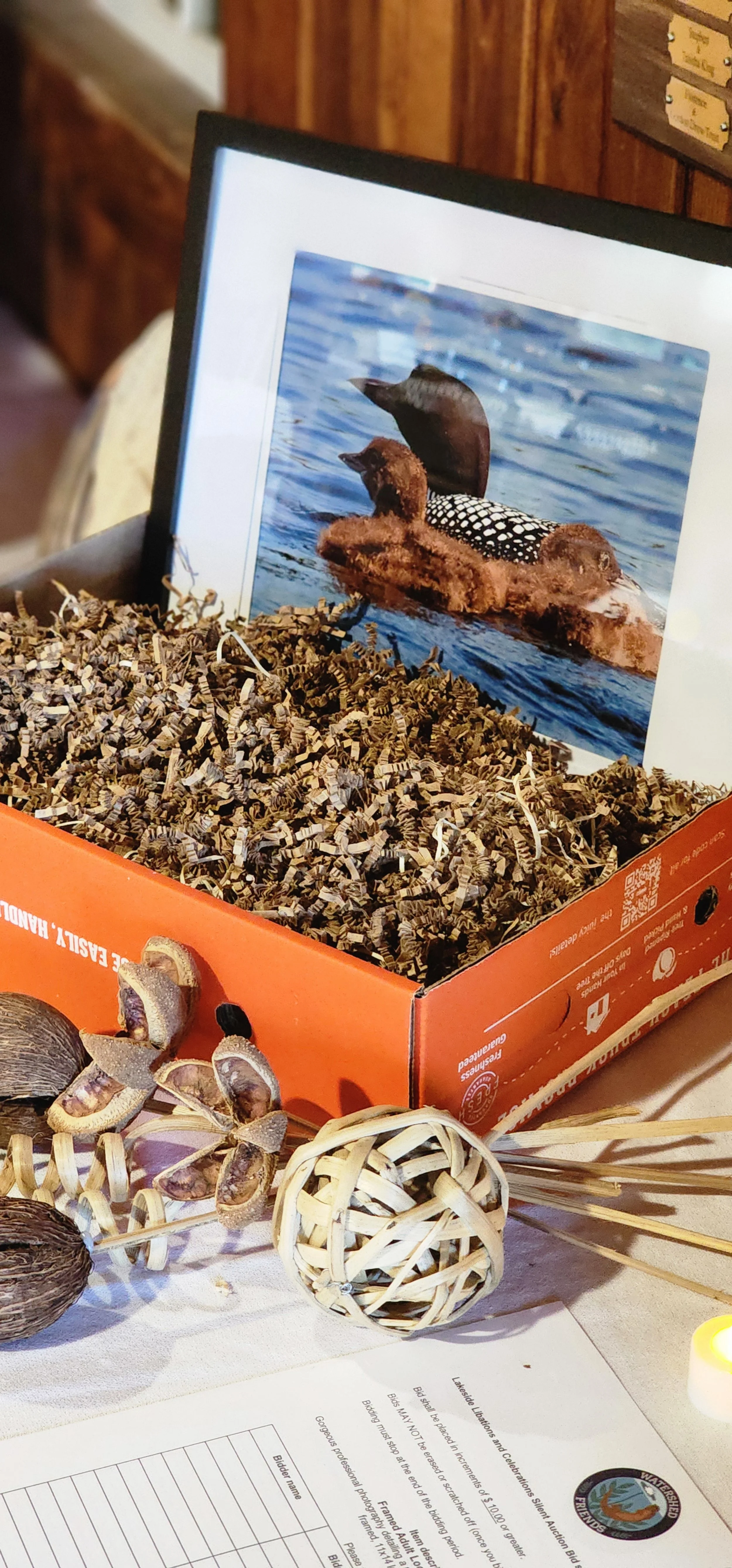 Framed and matted picture of loon and baby