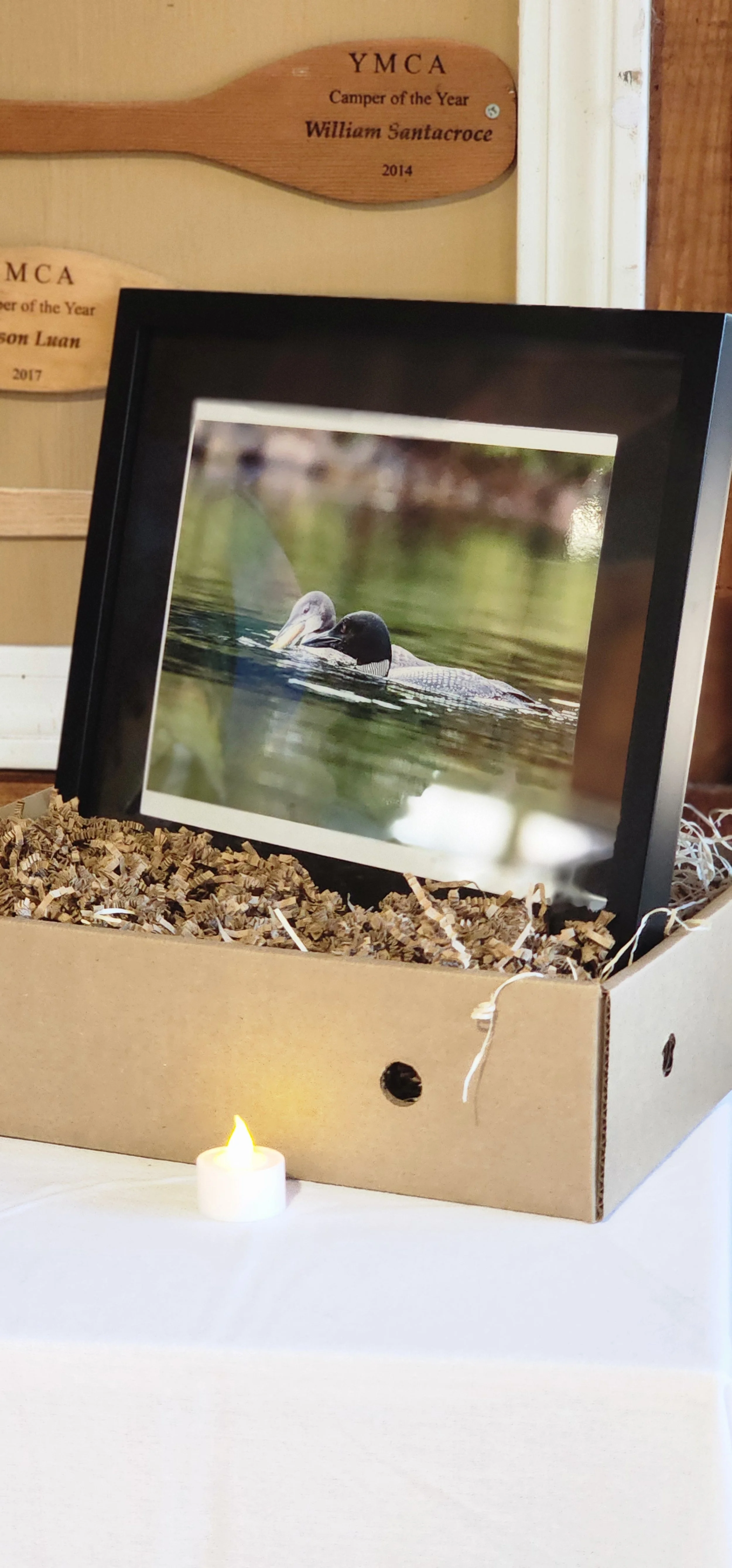Matted and framed photograph of a loon