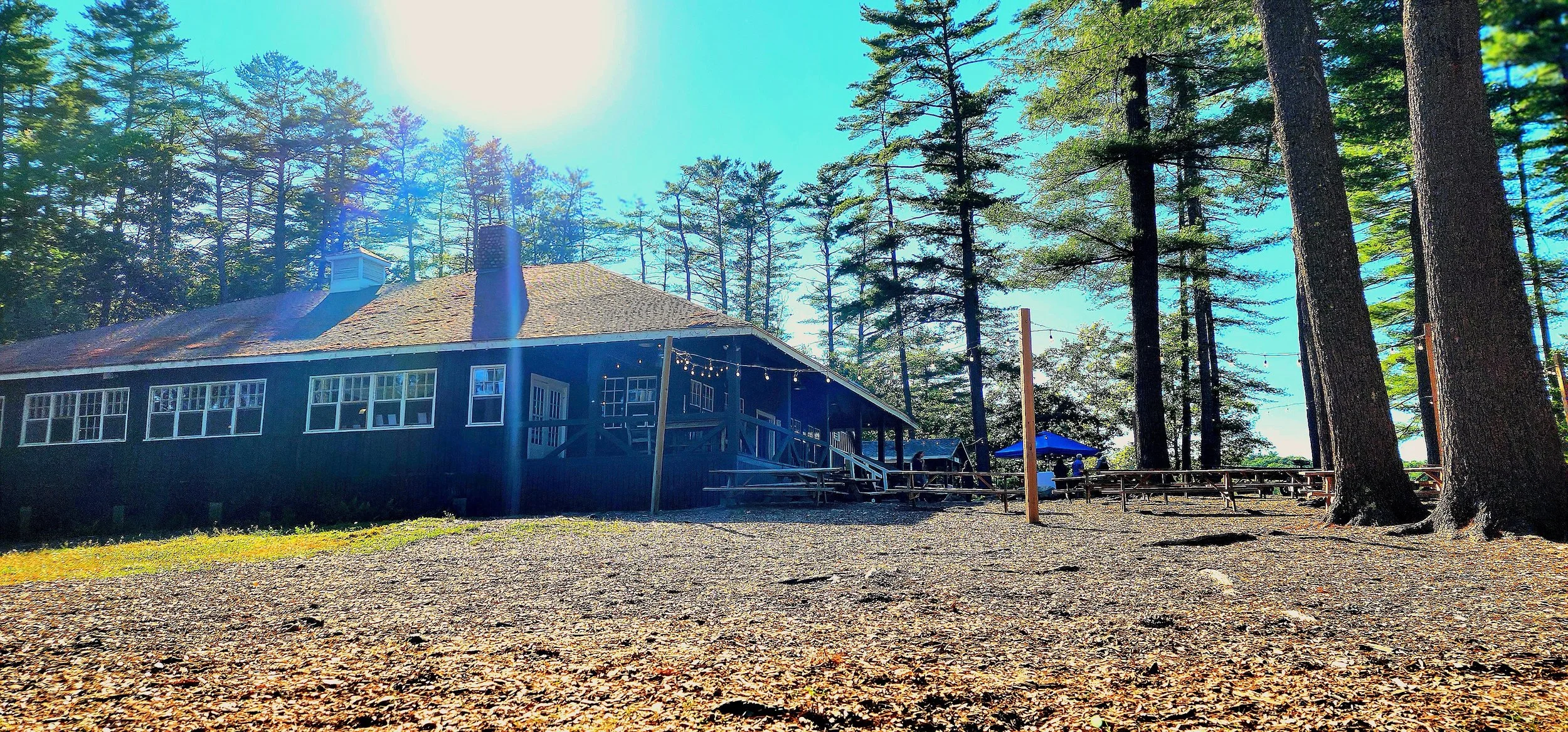 A grassy field with trees in the right background and a building on the left