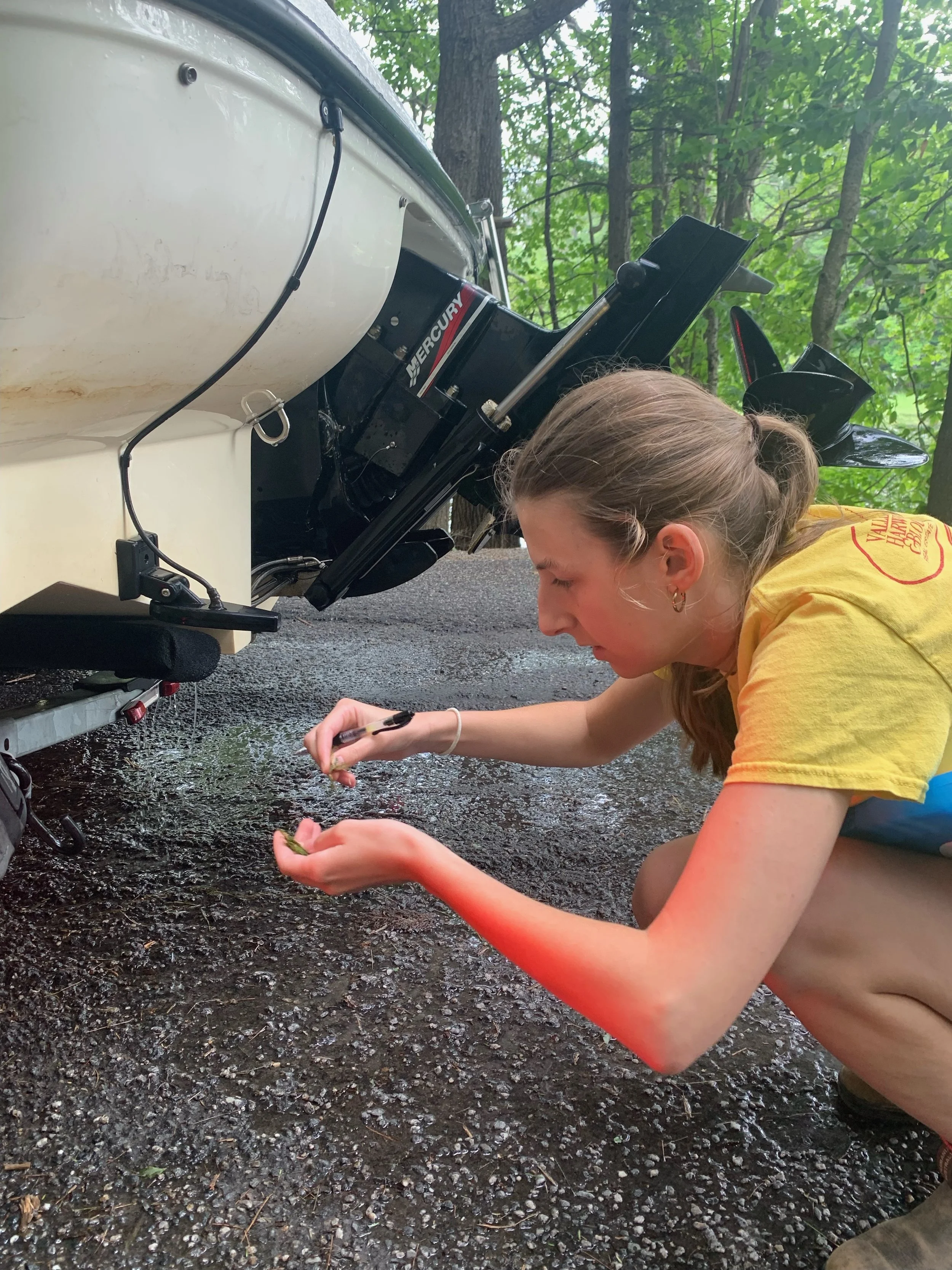 A woman, wearing a yellow t-shirt, crouched next to the motor of a boat that is on a trailer, examining a small plant fragment
