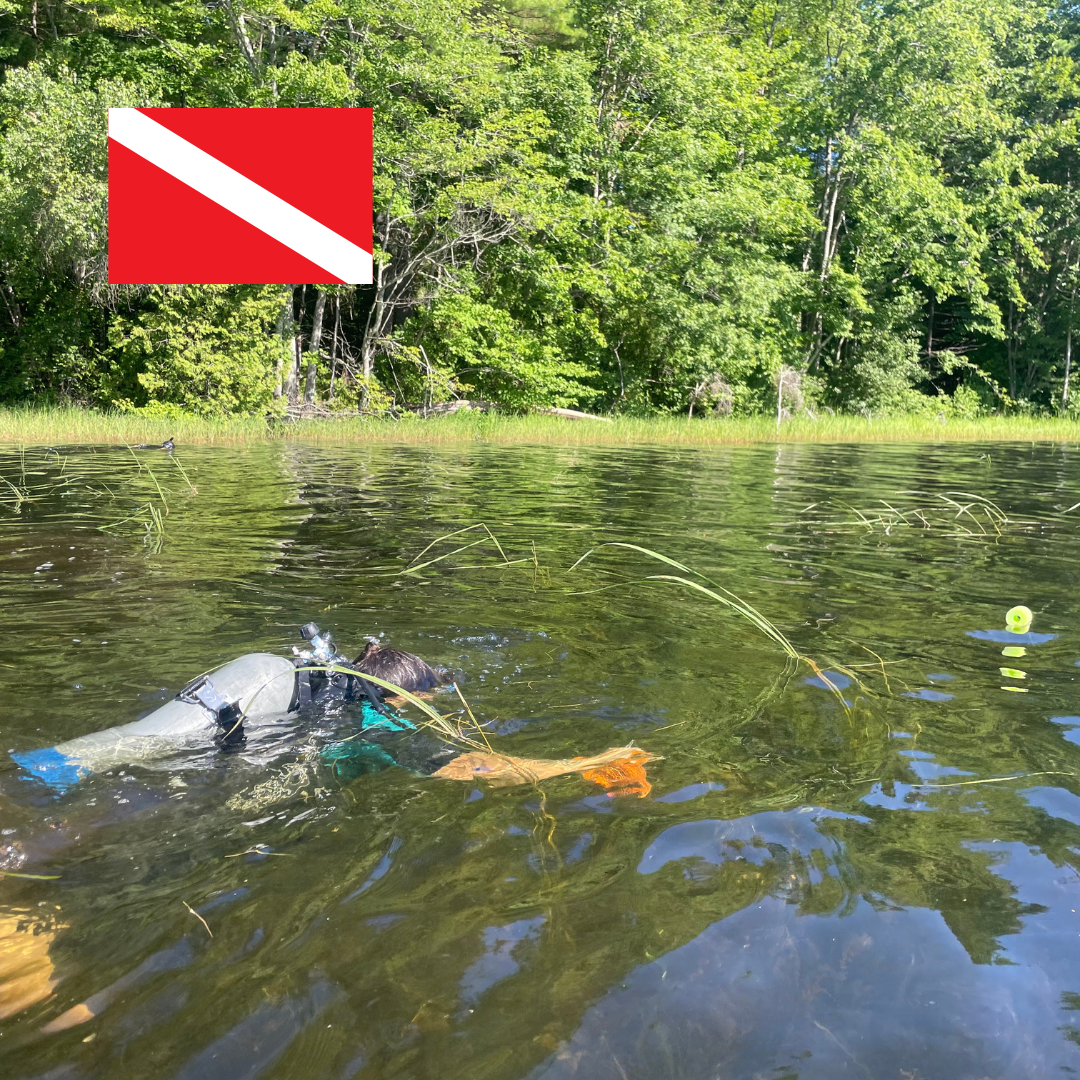 A diver in the water heading towards a green pool noodle buoy, with a diver down flag superimposed in the upper left corner