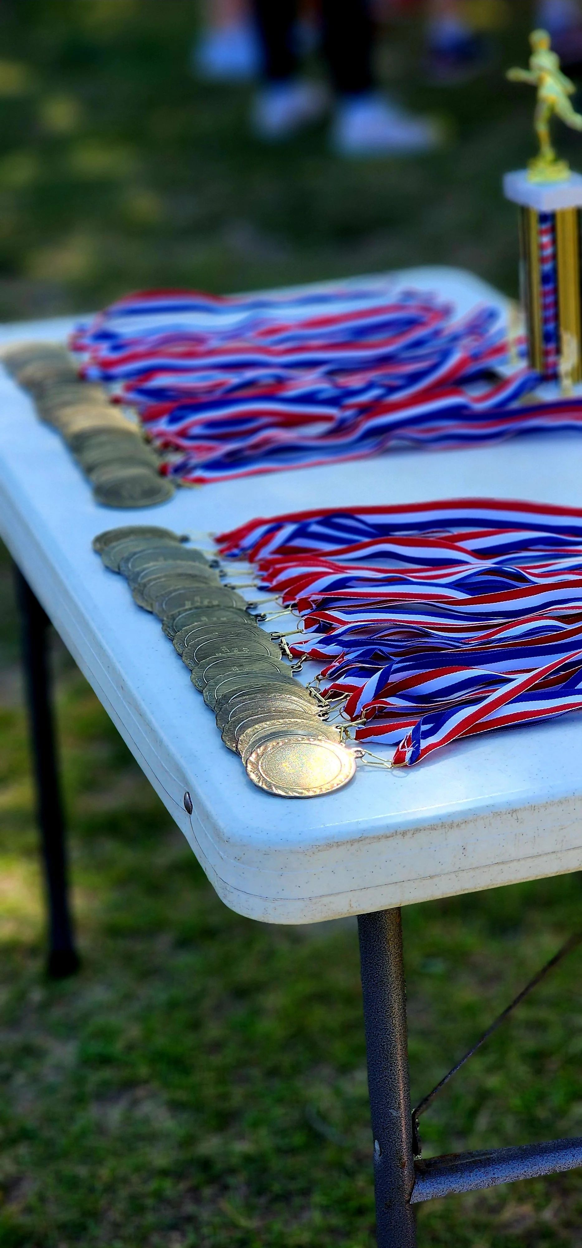 A table holding a selection of award medals