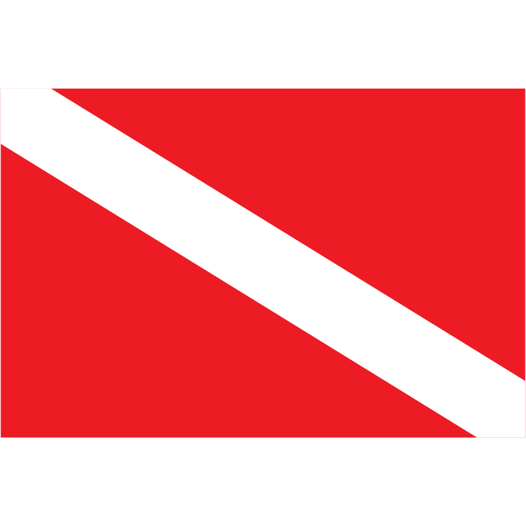 A diver down flag, red background with a diagonal white bar going from top left to bottom right