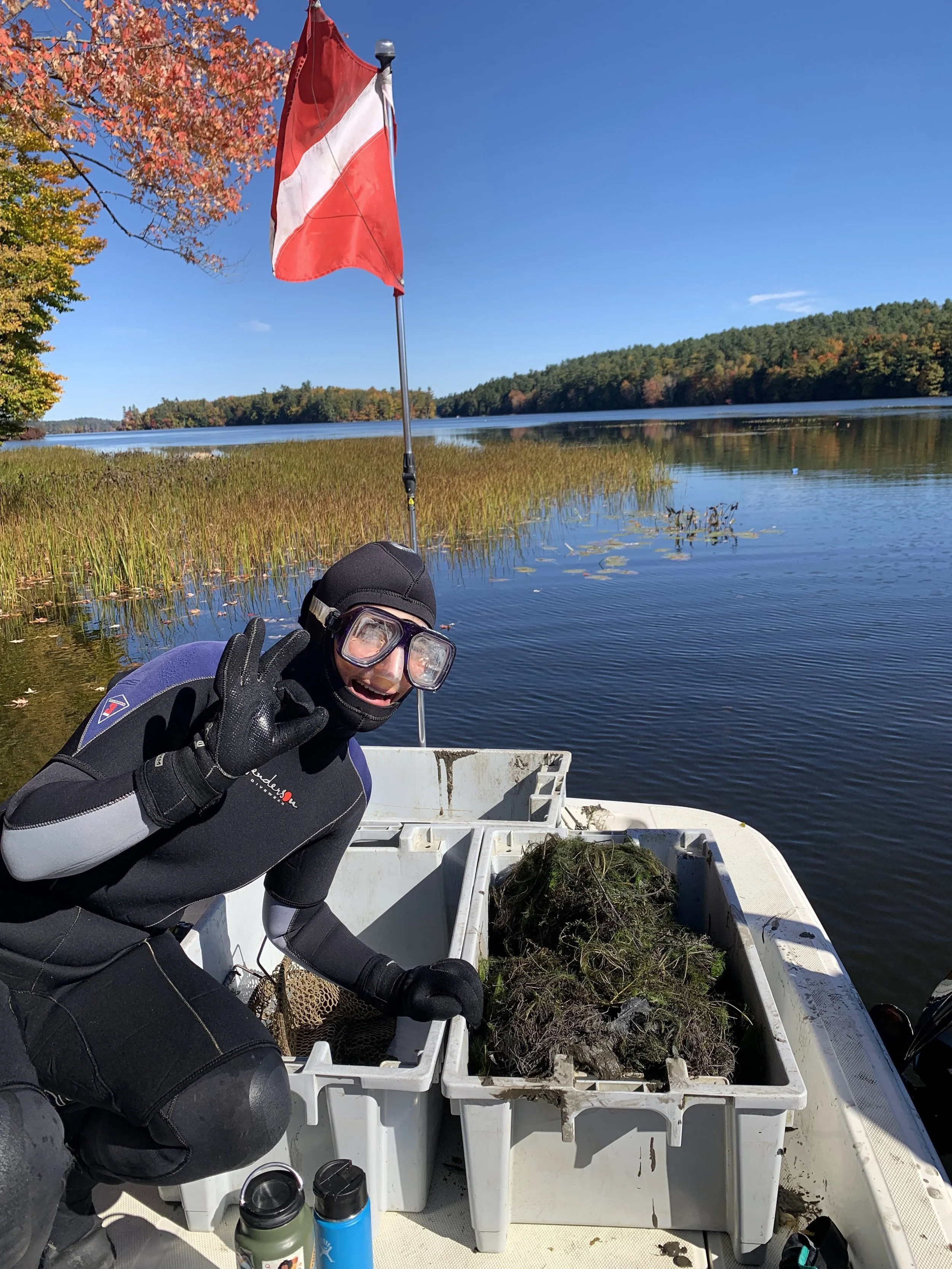 A person in a wetsuit giving the camera the "okay" hand sign, crouched over bins filled with green plant matter on the deck of a boat with a diver down flag behind