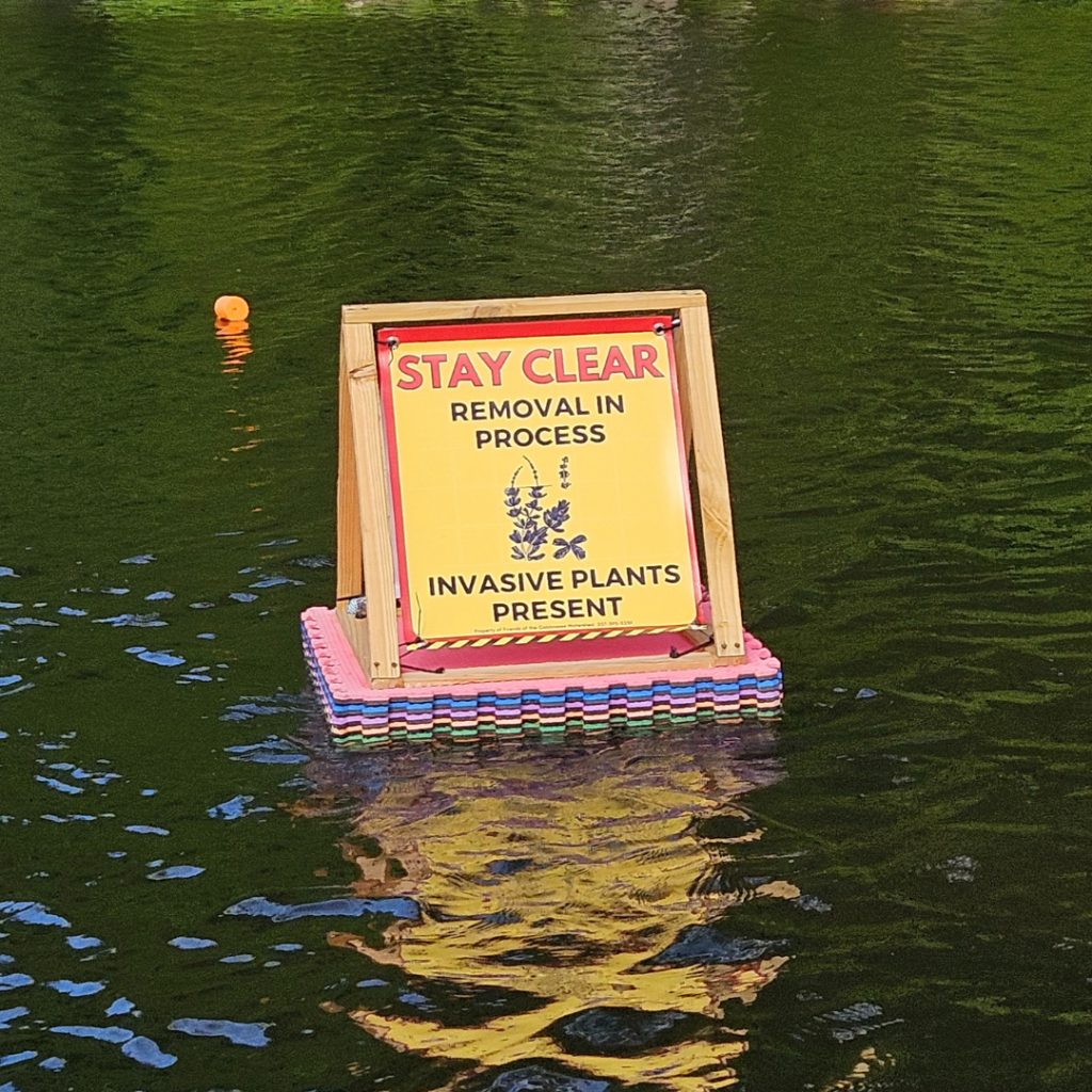 Buoy floating on water that says "Stay Clear, Removal in Process, Invasive plants present"