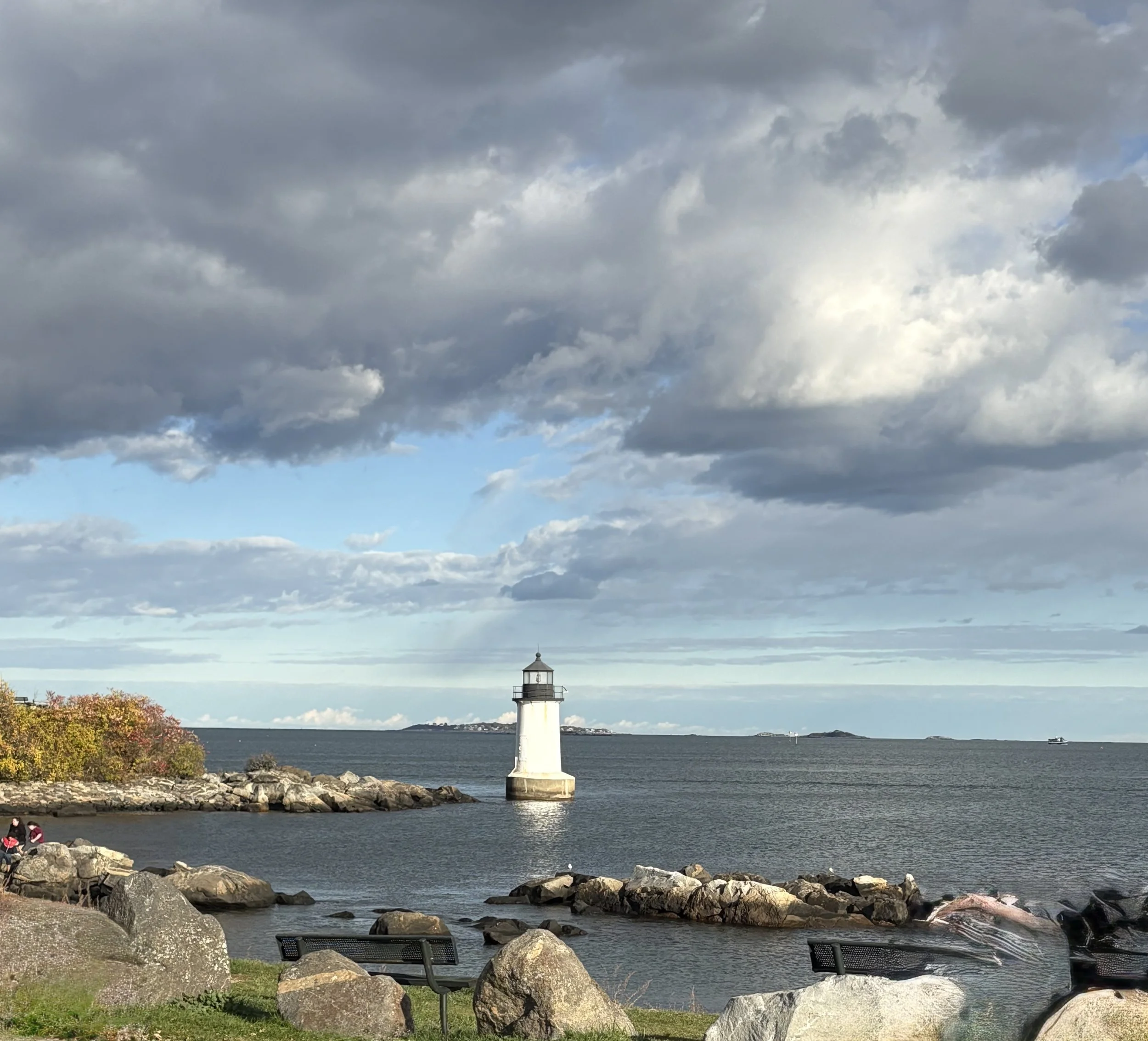 DBT Skills (Dialectical Behavior Therapy)