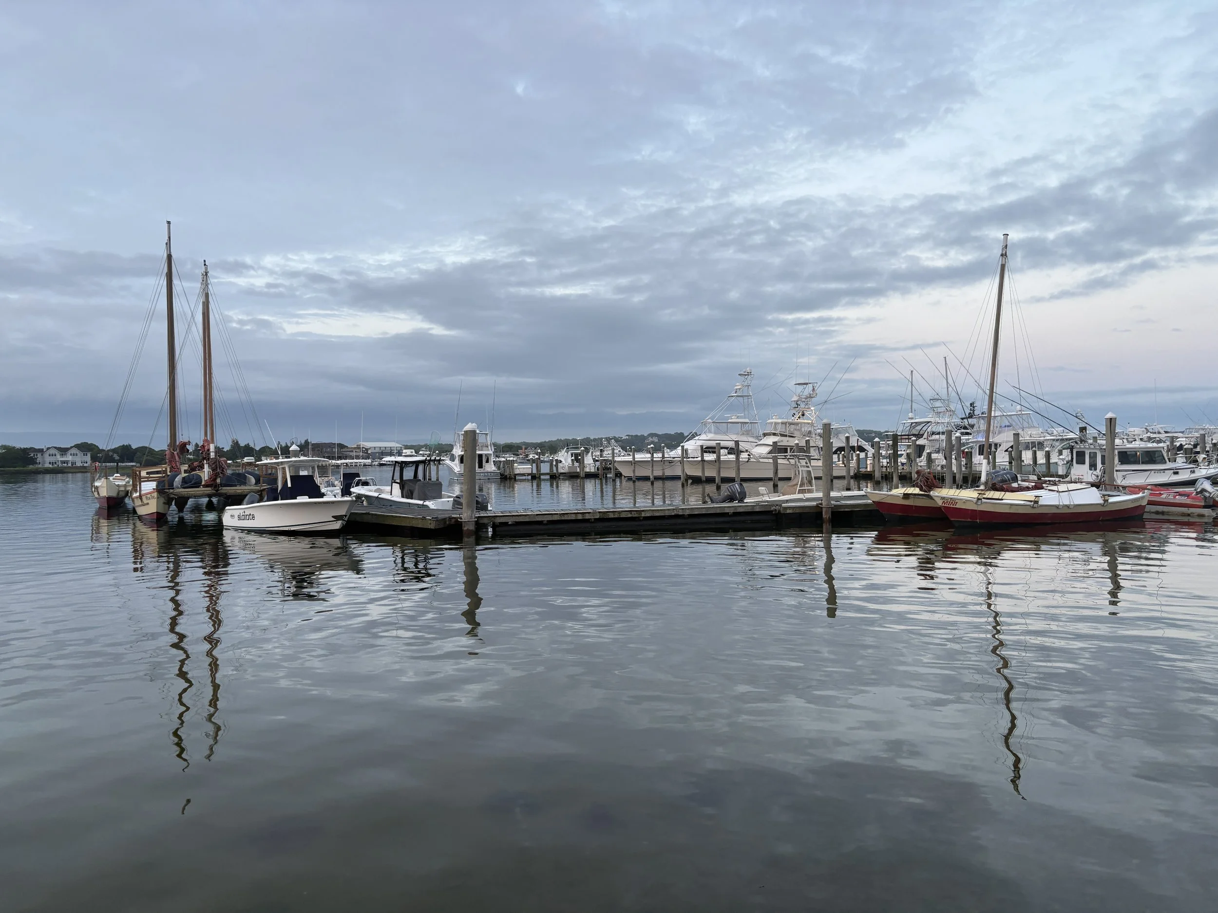 CBT (Cognitive Behavioral Therapy)