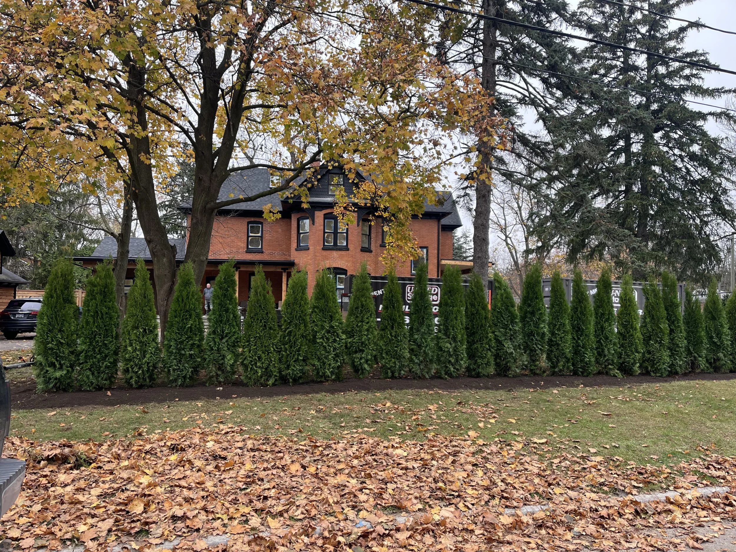 Professional tree planting done right—from proper species selection to correct placement and soil preparation. We plant healthy trees that establish strong roots, thrive in your landscape, and add long-term beauty and value to your property. 🌱🌳