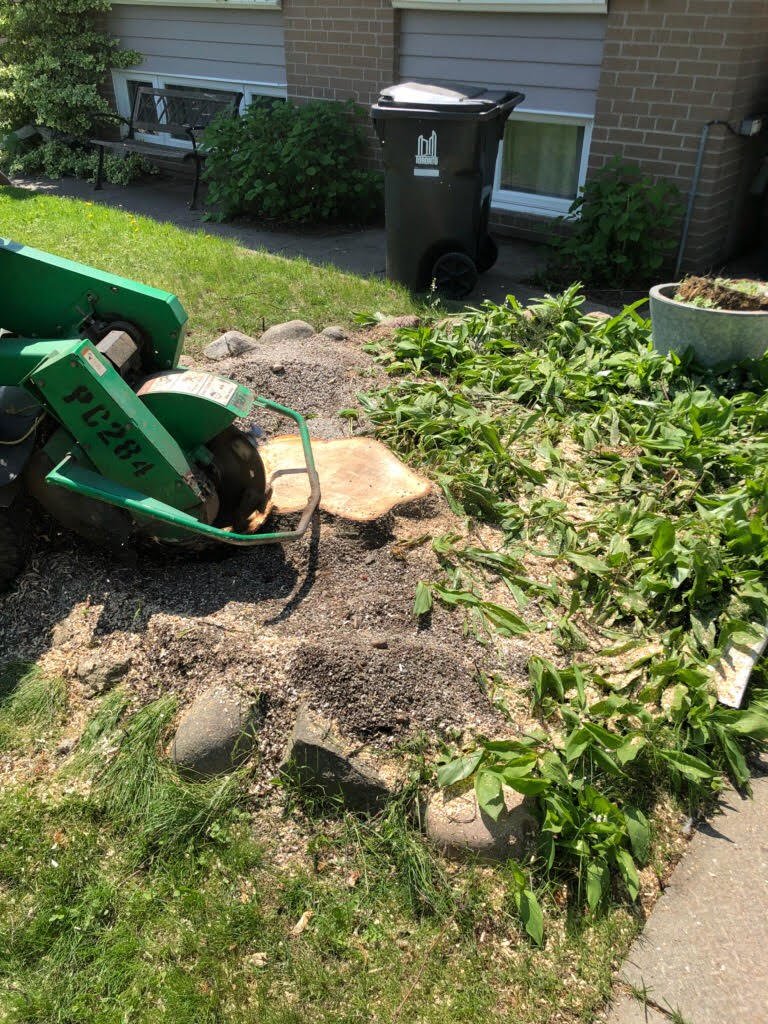 We safely and efficiently grind unwanted tree stumps below ground level, restoring your yard to a clean, usable space.