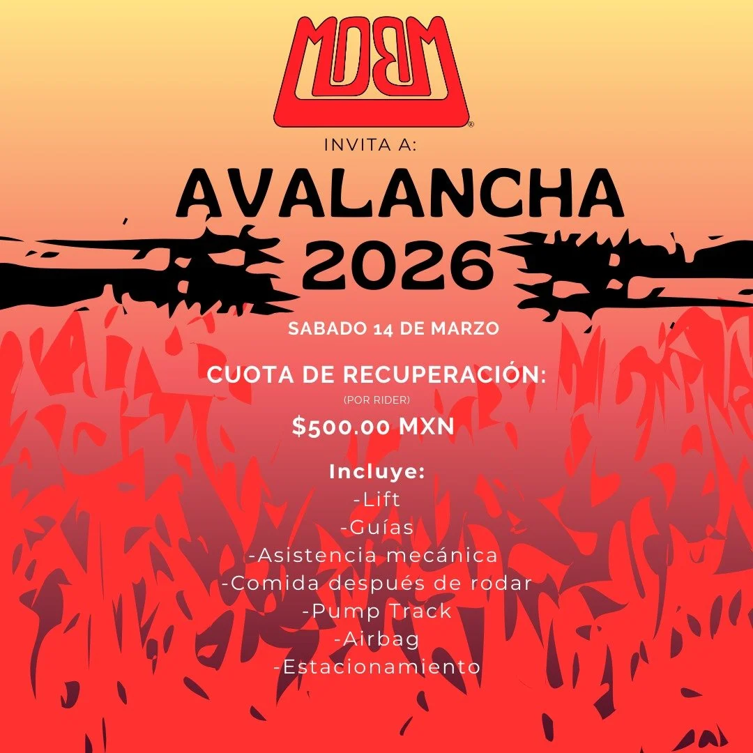 WhatsApp Image 2026-02-09 at 6.54.19 PM.jpeg