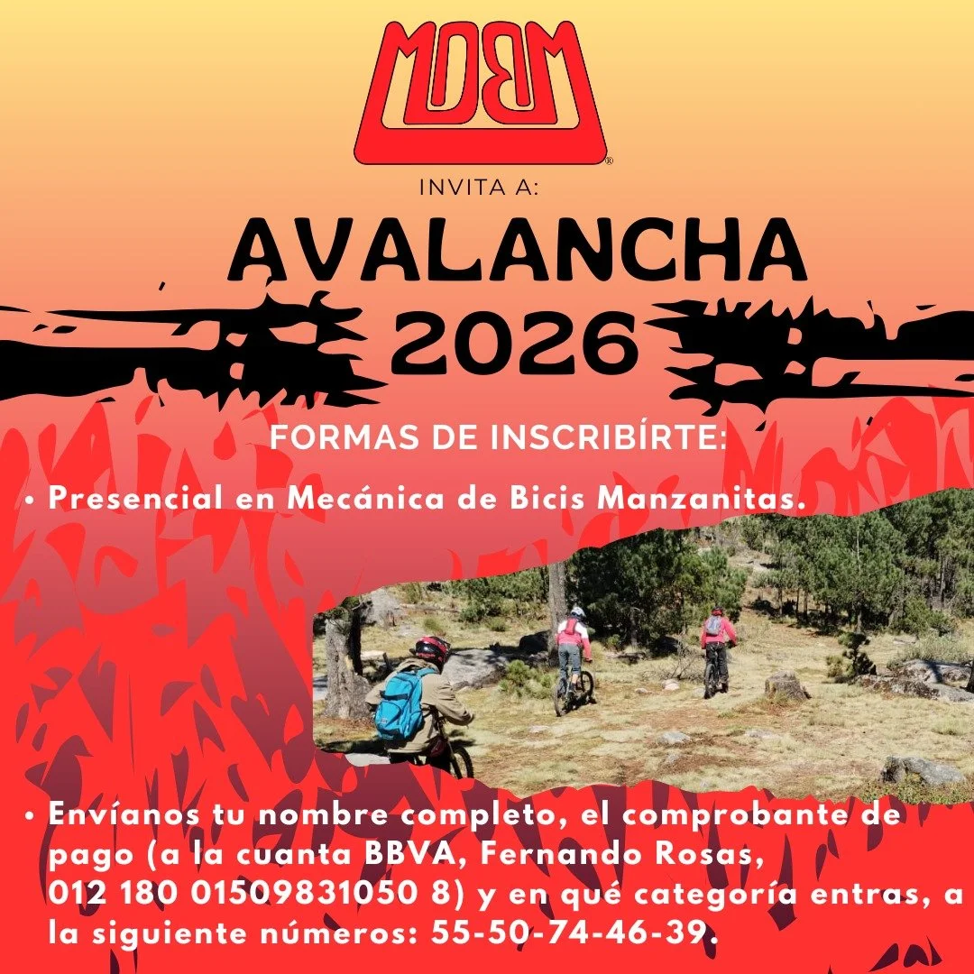 WhatsApp Image 2026-02-10 at 1.44.53 PM.jpeg