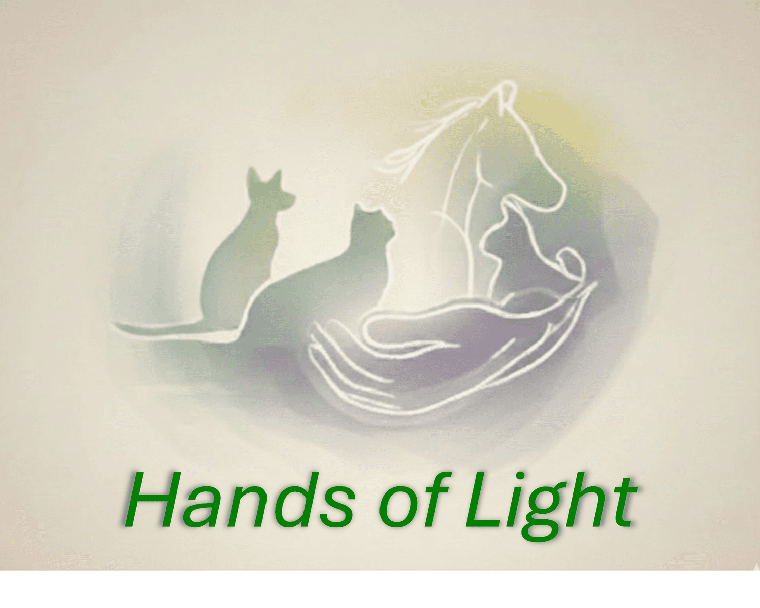 Hands of Light, LLC