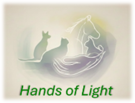 Hands of Light, LLC