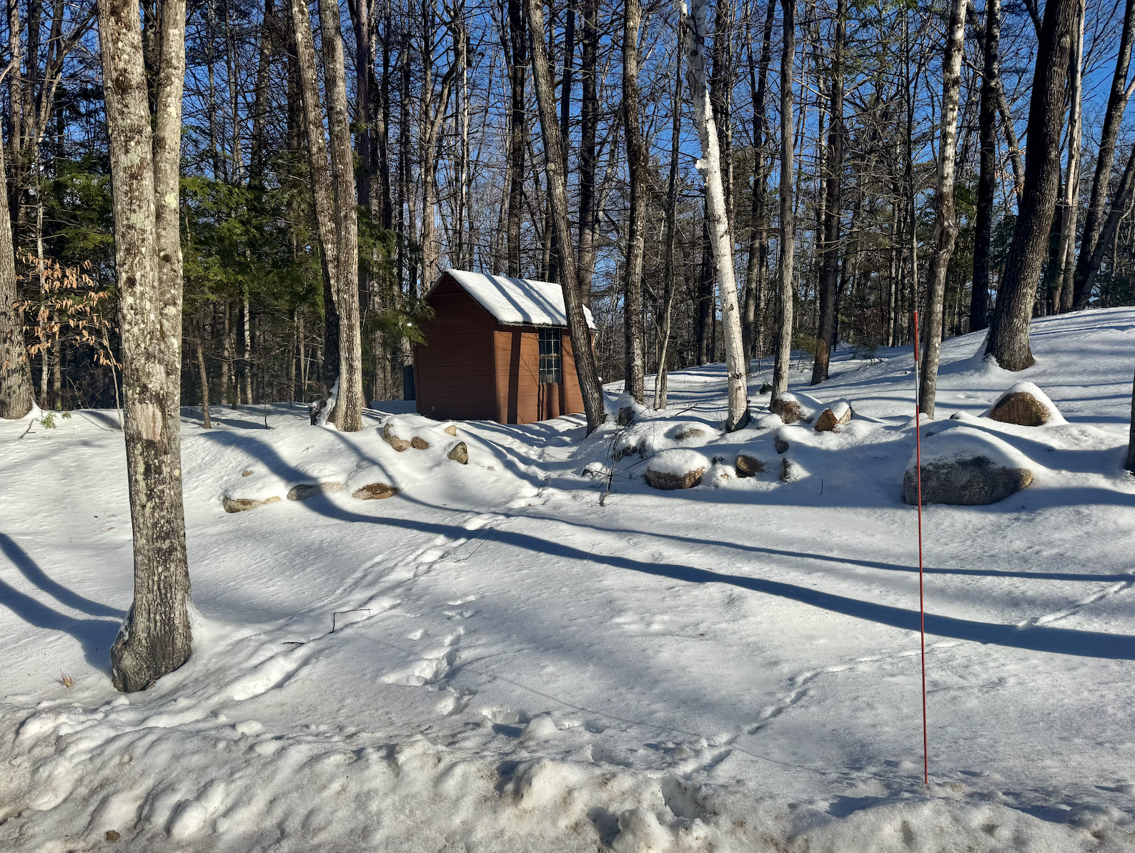 The house is on a wooded acre - feels private, yet minutes to North Conway and the best of the White Mountains (view of the side yard from driveway).