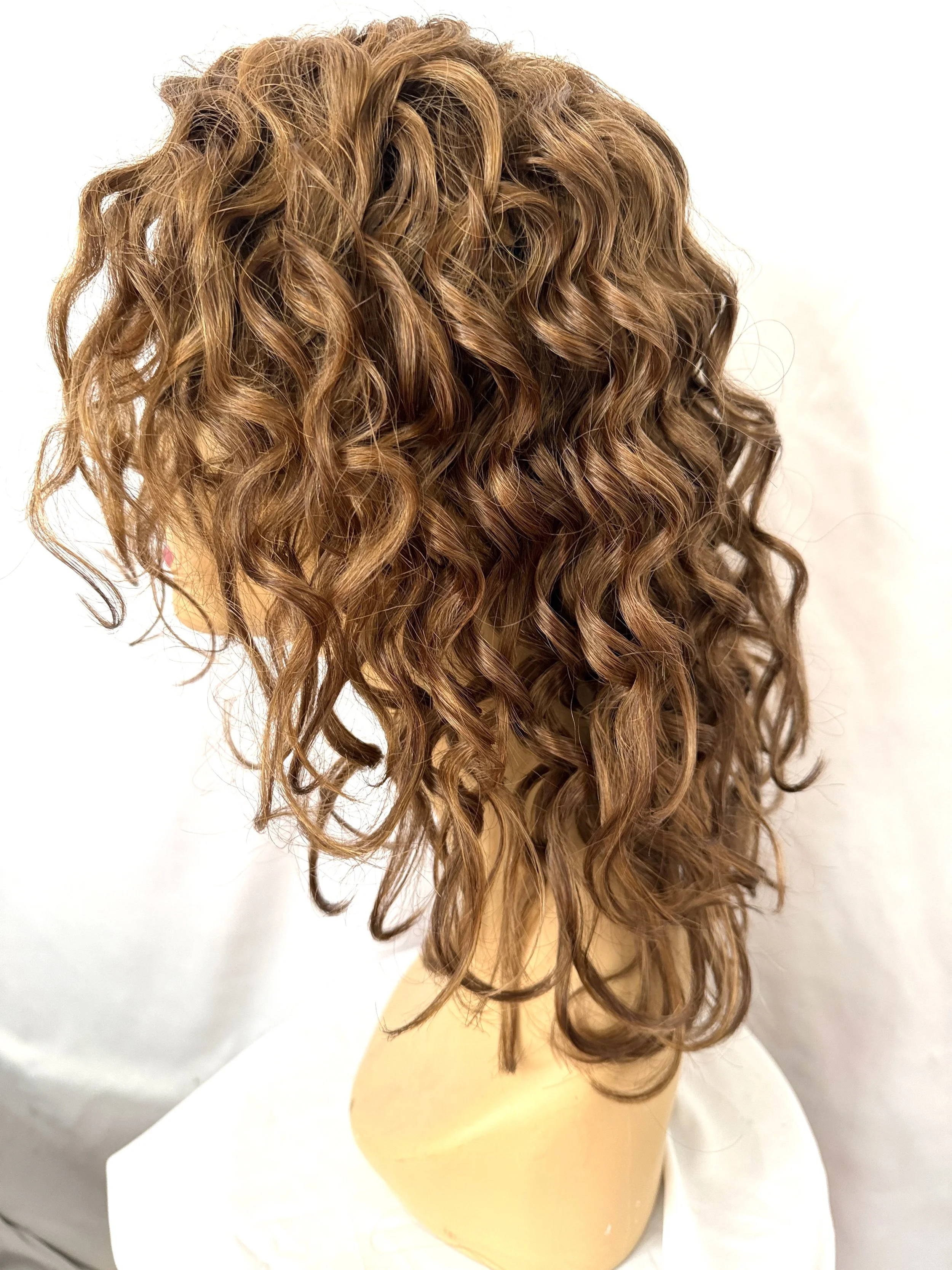 TL33:233B_Dark Auburn w:Copper Blonde.JPG