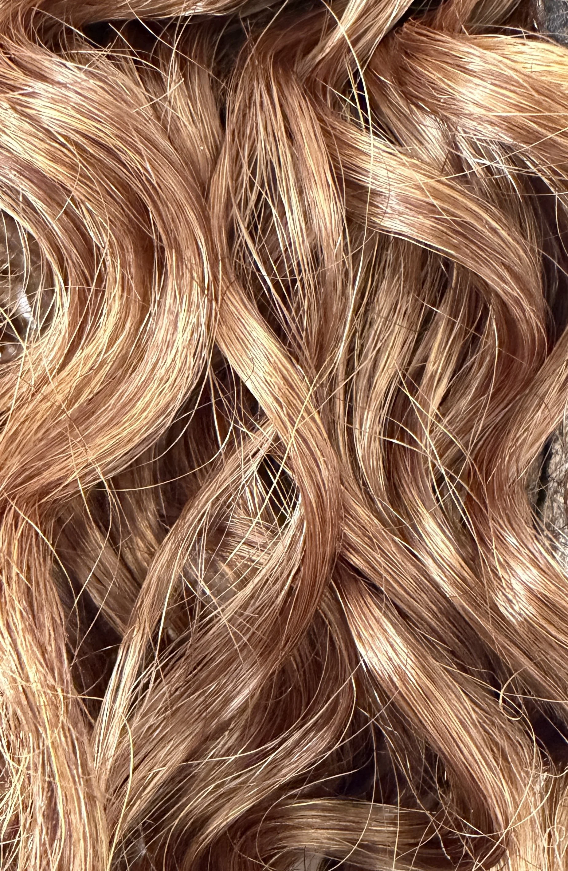 TL33:233B_Dark Auburn w:Copper Blonde .JPG