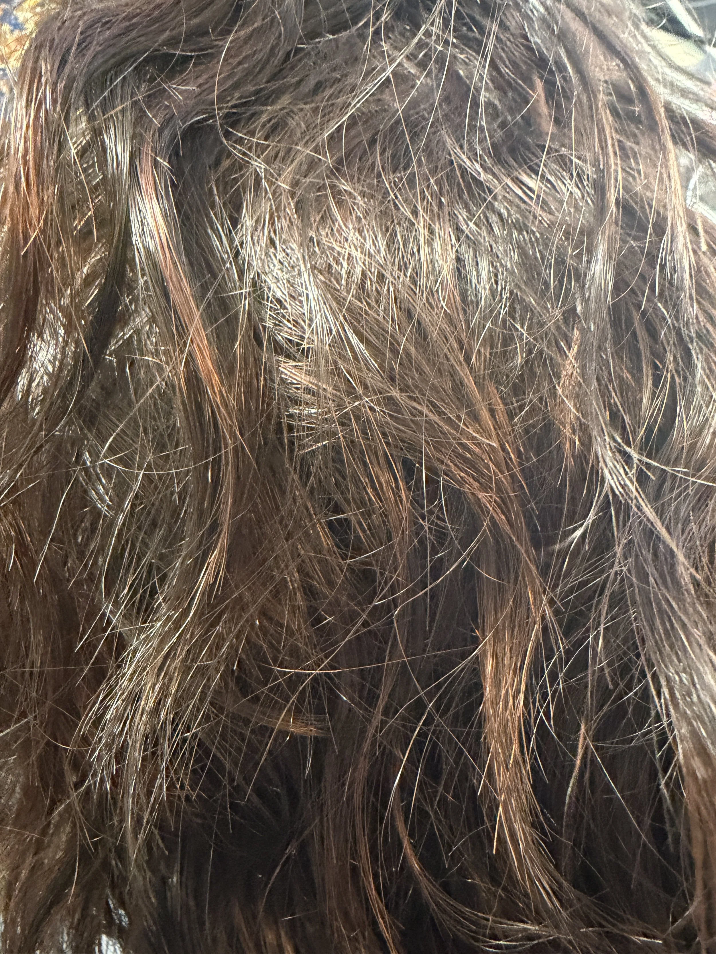 F4:30_Medium Brown w:Light Auburn Highlights.jpeg