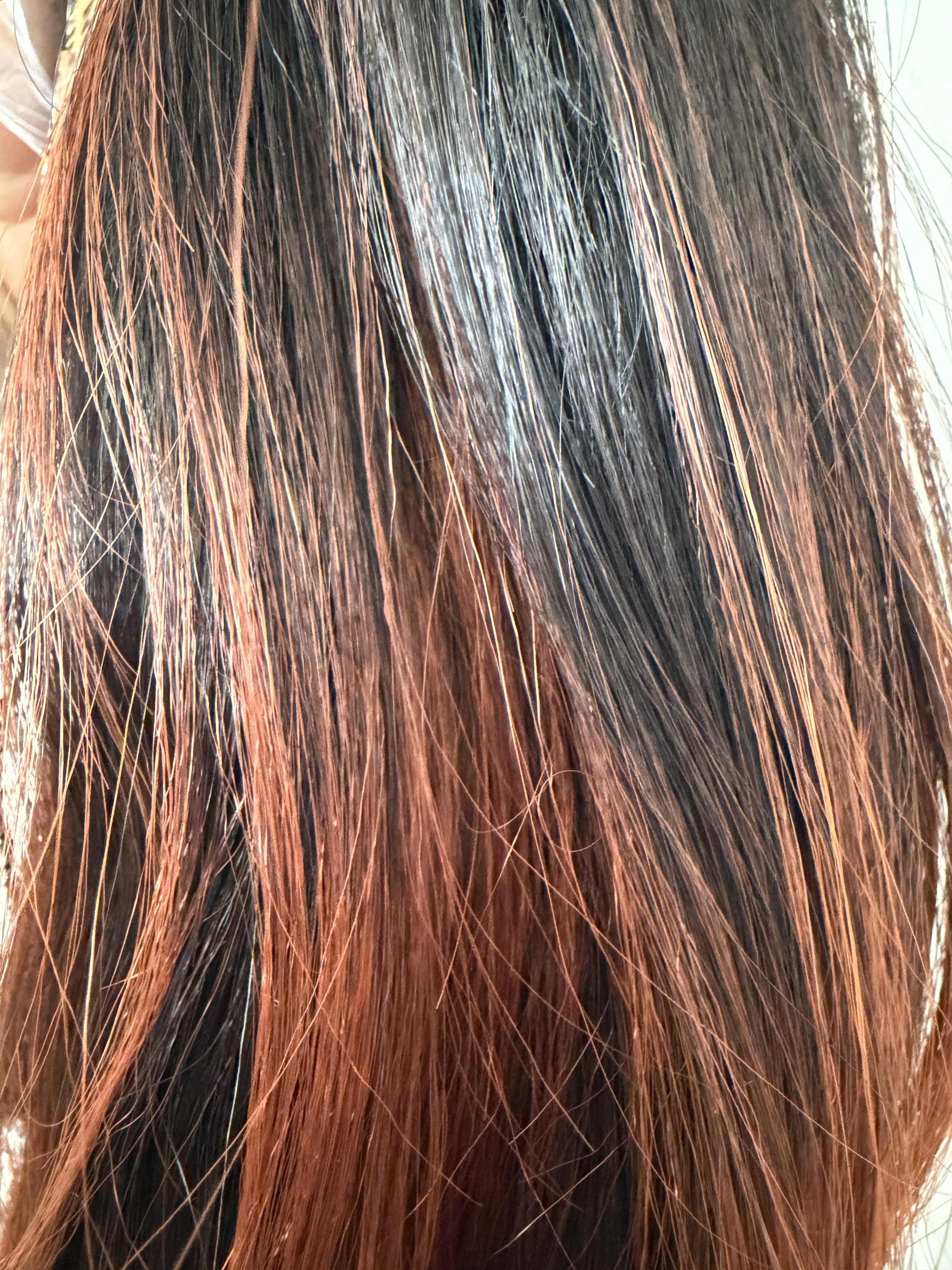 S1B:350_Off Black and Cherry Auburn Ombre.JPG
