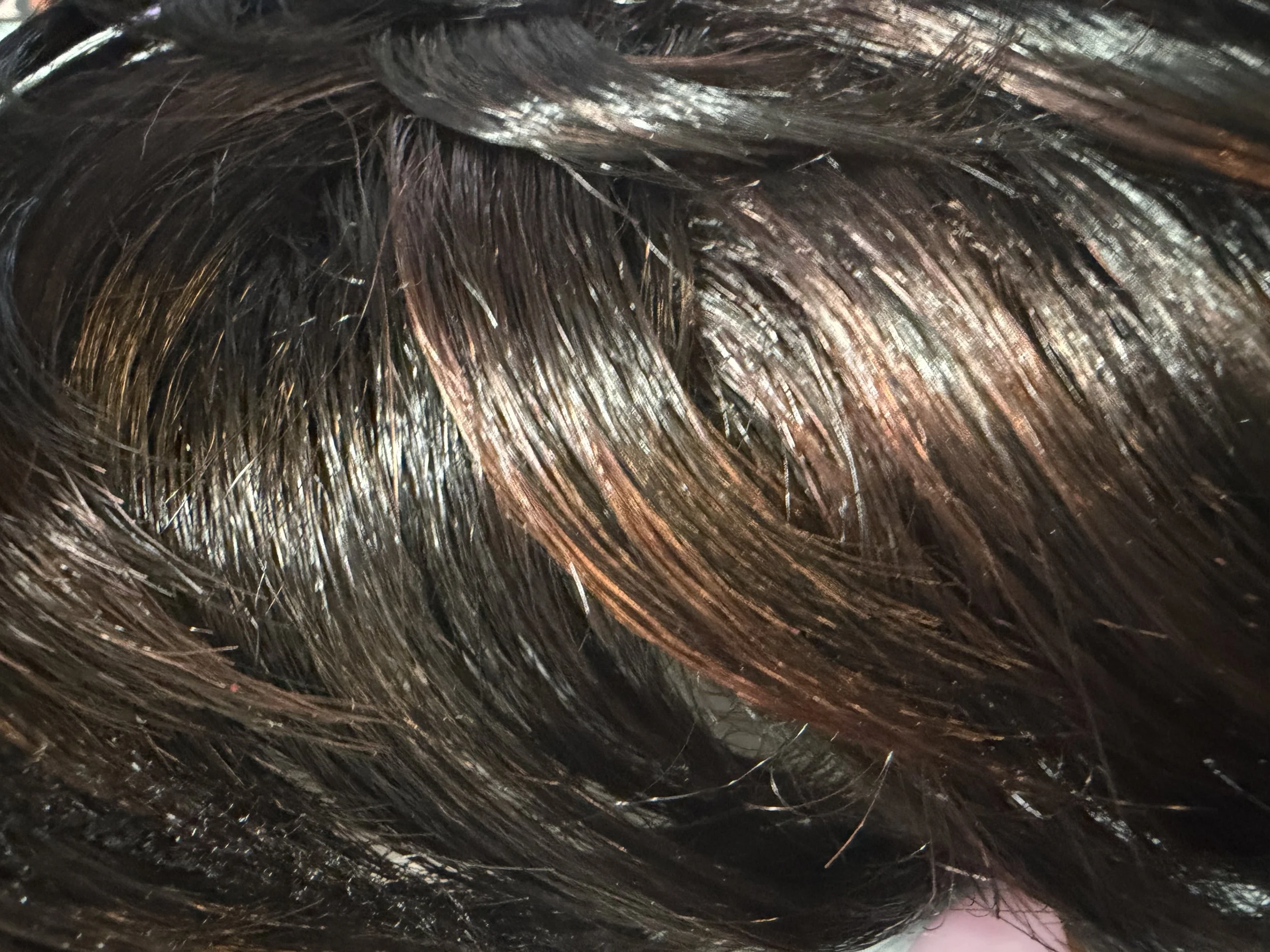 TL1B:33_Off Black w:Dark Auburn Highlights.jpeg