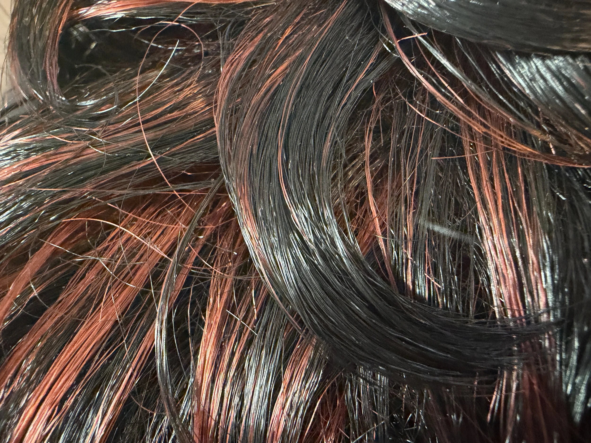 TL1B:350_Off Black w:Bright Cherry Auburn Highlights.jpeg