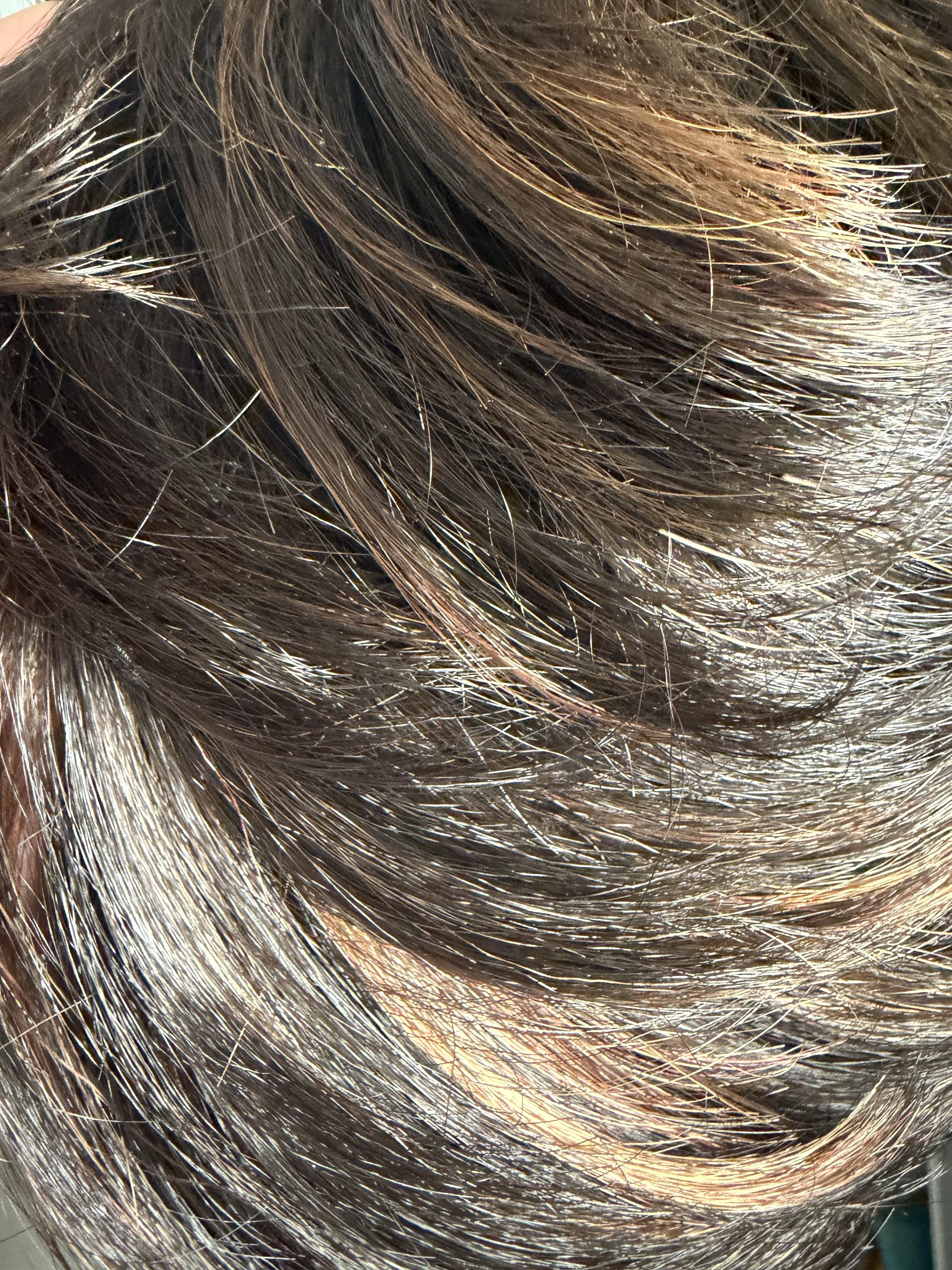 2000_Medium Brown w:Auburn Highlights.JPG