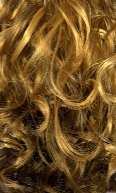 F4:27_Medium Brown Bottom w:Light Blonde on Top.jpg