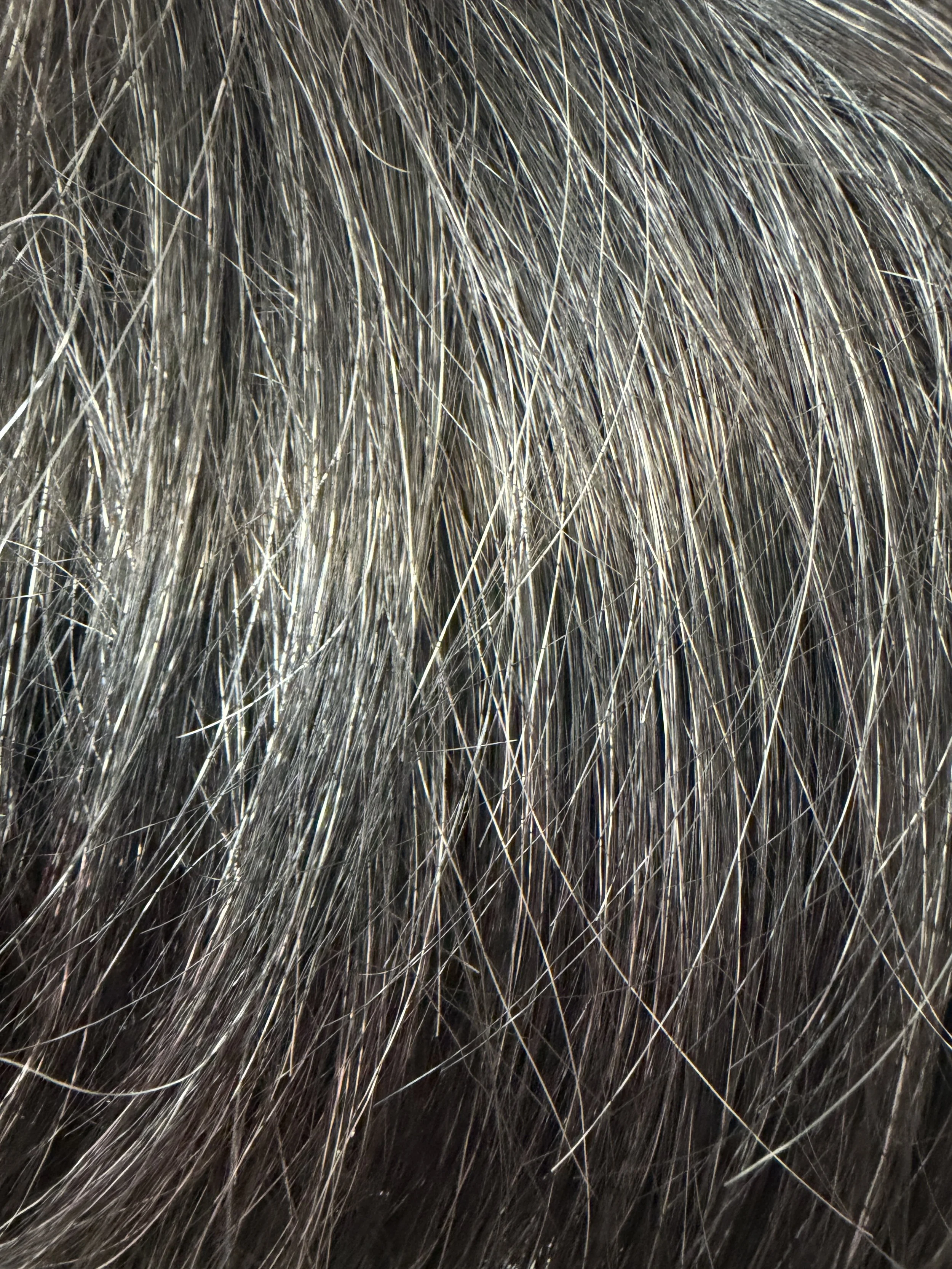 280_Off Black w:15% Gray.JPG