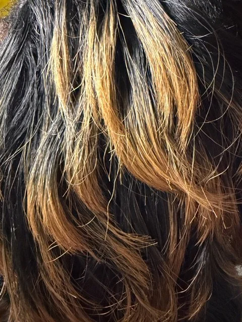 S1B:27_Off Black Roots w:Light Ash Blonde Tips.JPG