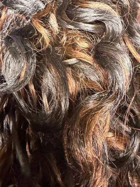 F1B:30_Off Black w:Light Auburn Highlights.JPG