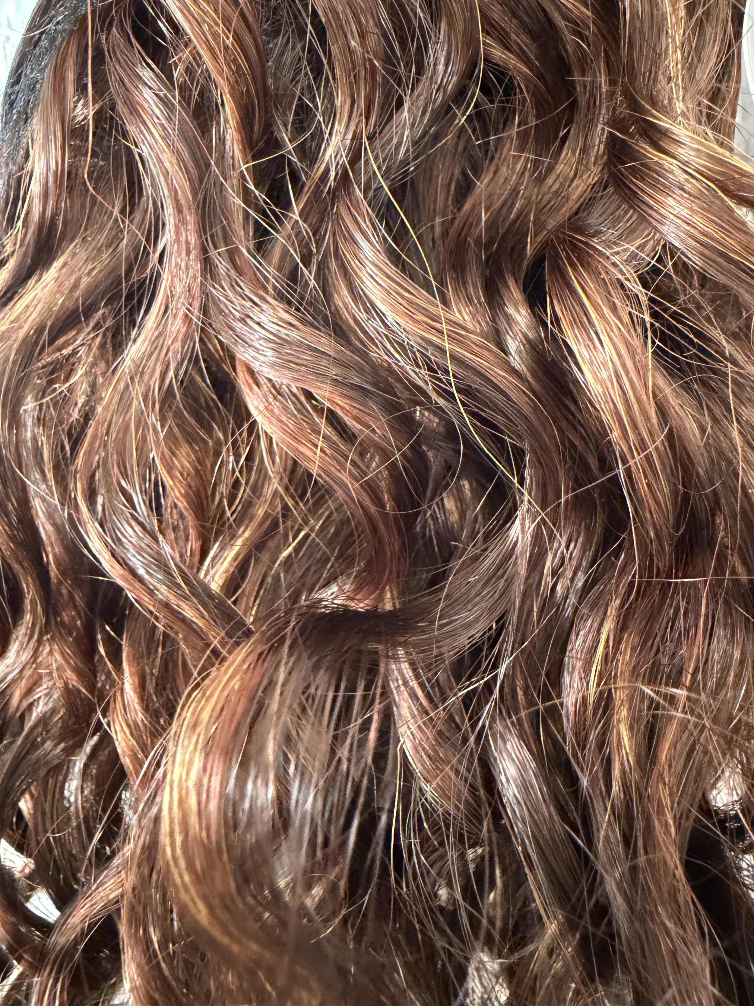 FF33:318_.Dark Auburn w:Copper Auburn Highlights.JPG