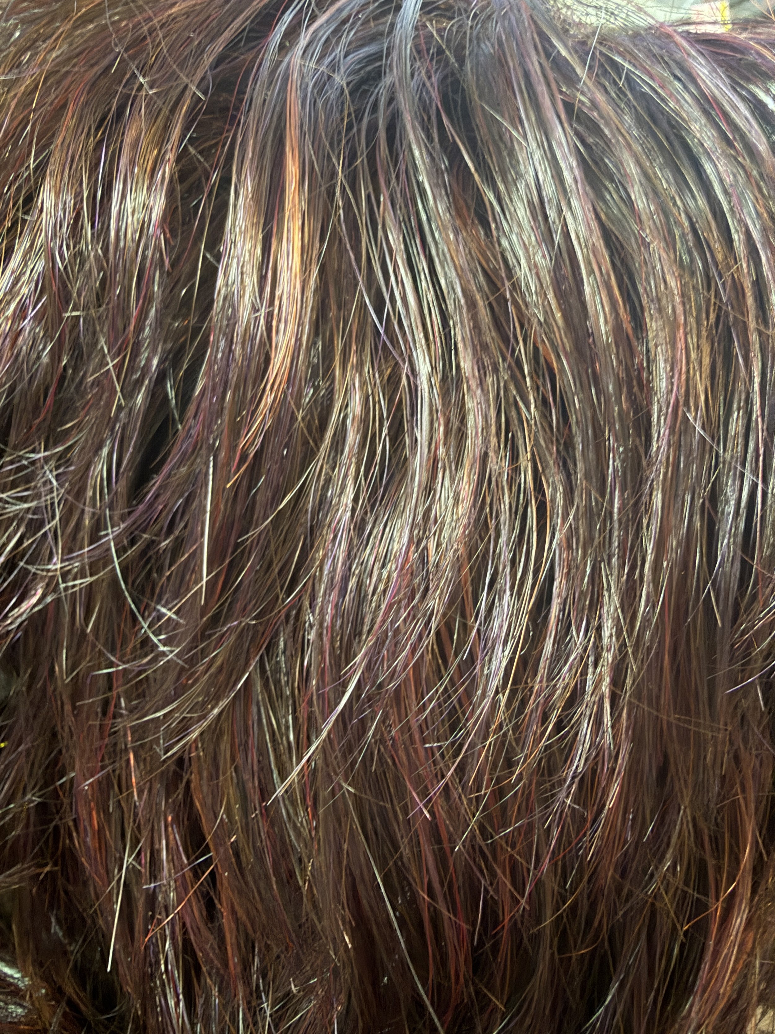 FS99J:182_Dark Brown w:Maroon Highlights.jpeg