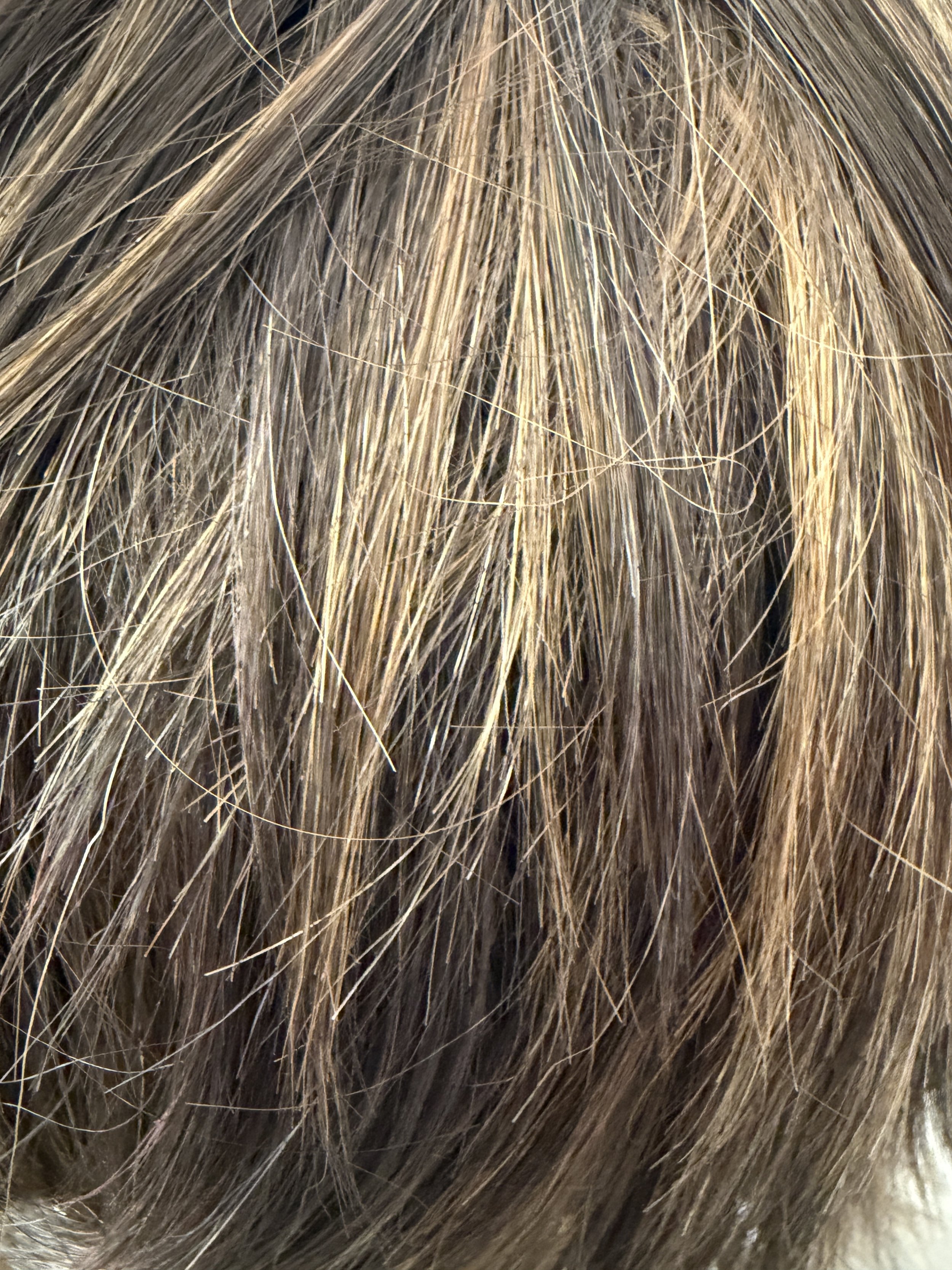 HL4:27_Medium Brown w:Light Ash Blonde Highlights.JPG