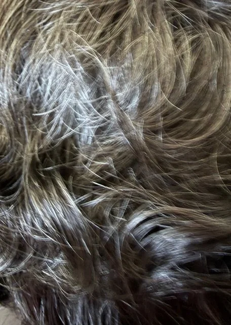 34_Dark Brown w:10-20% Gray.jpg